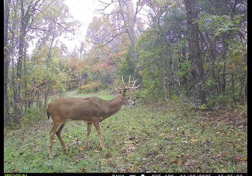 00 Fork Lick Road Property Photo 50