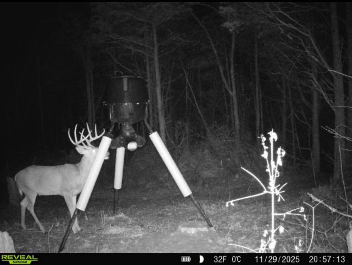 00 Fork Lick Road Property Photo 52