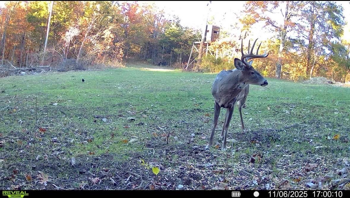 00 Fork Lick Road Property Photo 53