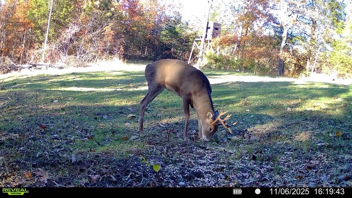 00 Fork Lick Road Property Photo 54