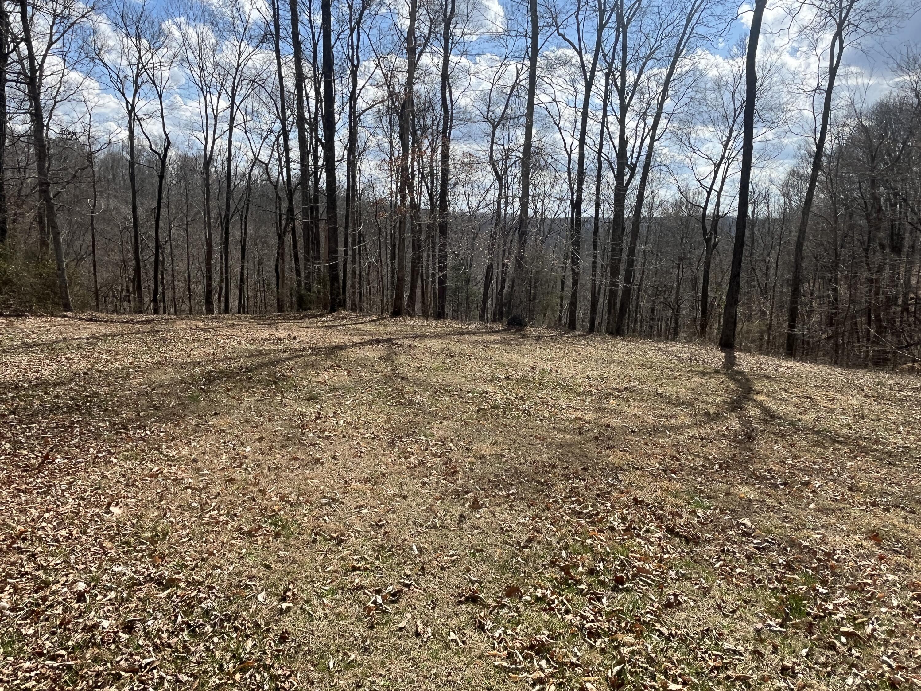 3275 Chance Road Property Photo 7