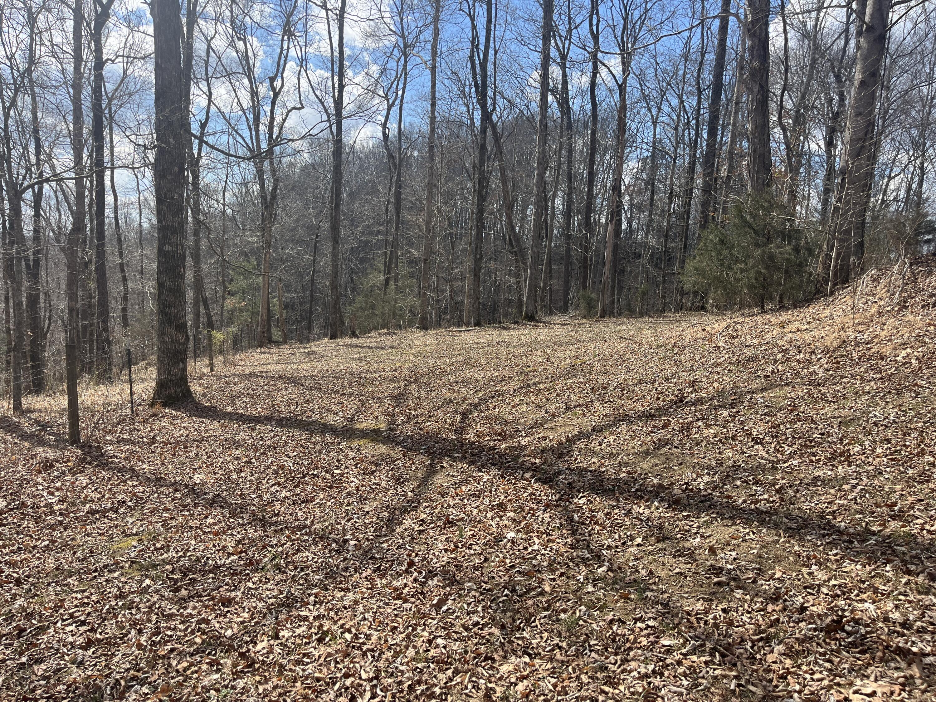 3275 Chance Road Property Photo 56