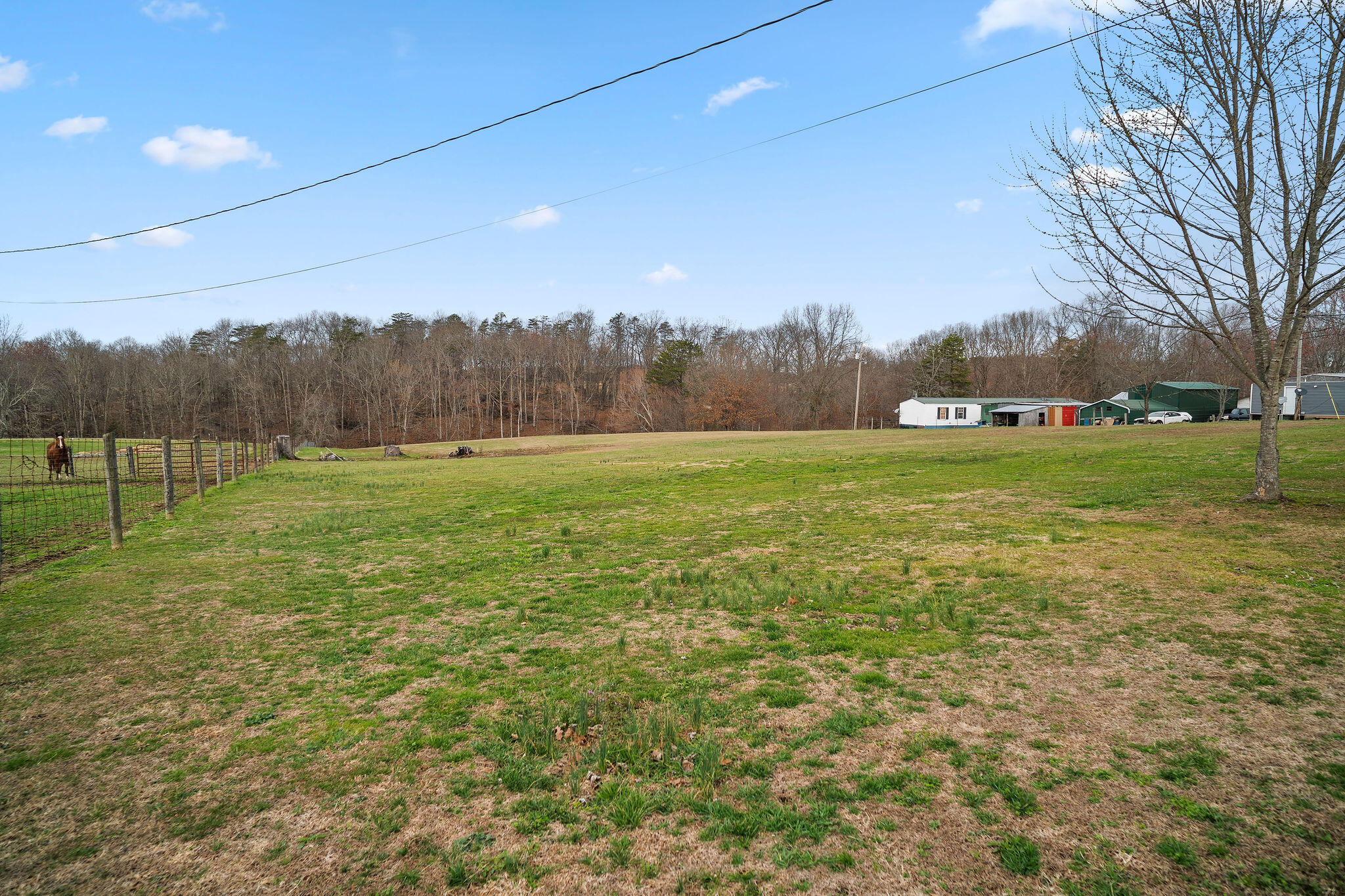 800 Pine Hill Road Property Photo 31
