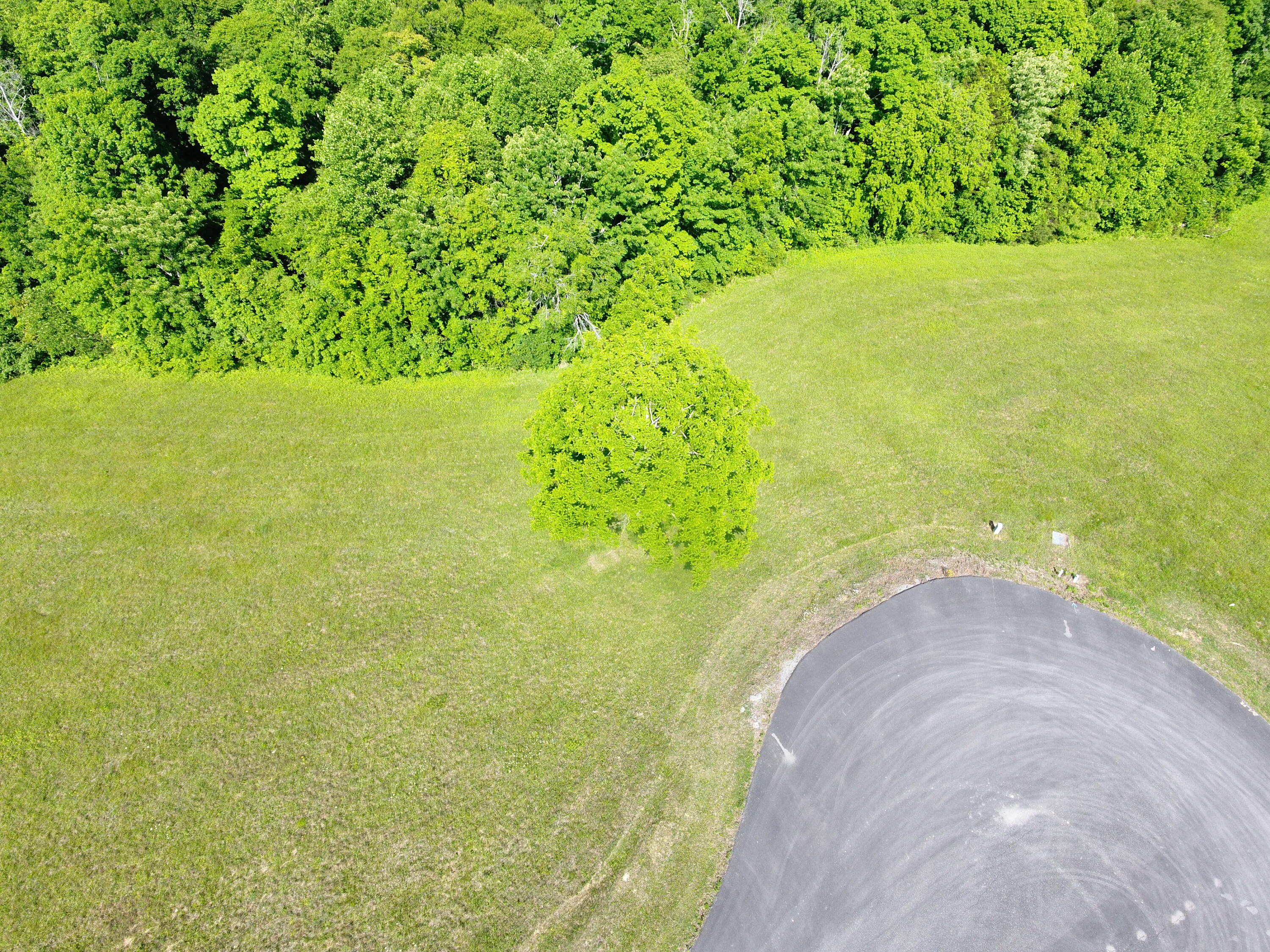 Lot 28 Parks Ridge Property Photo 5