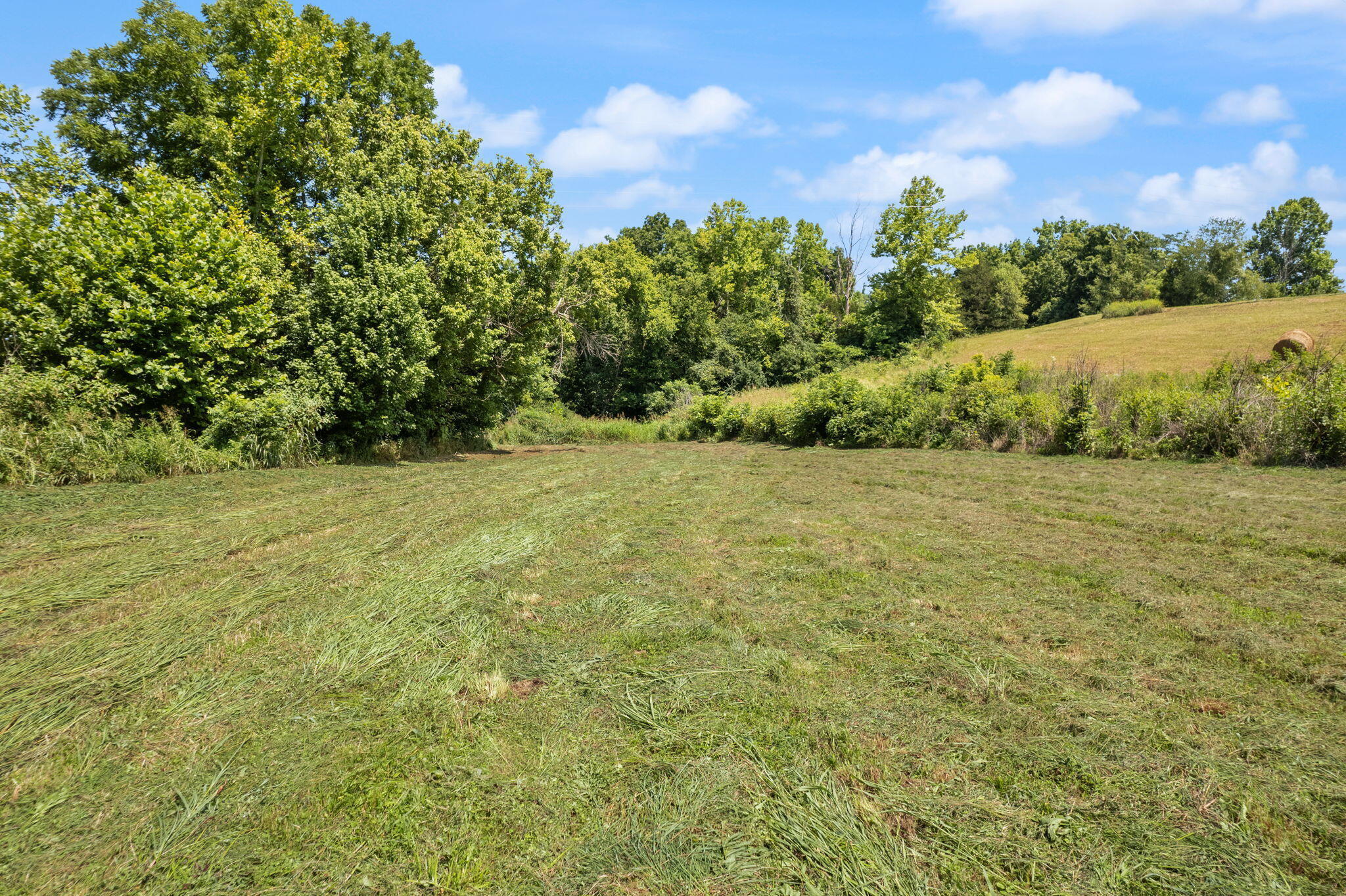 649 Snedegar Road Property Photo 70