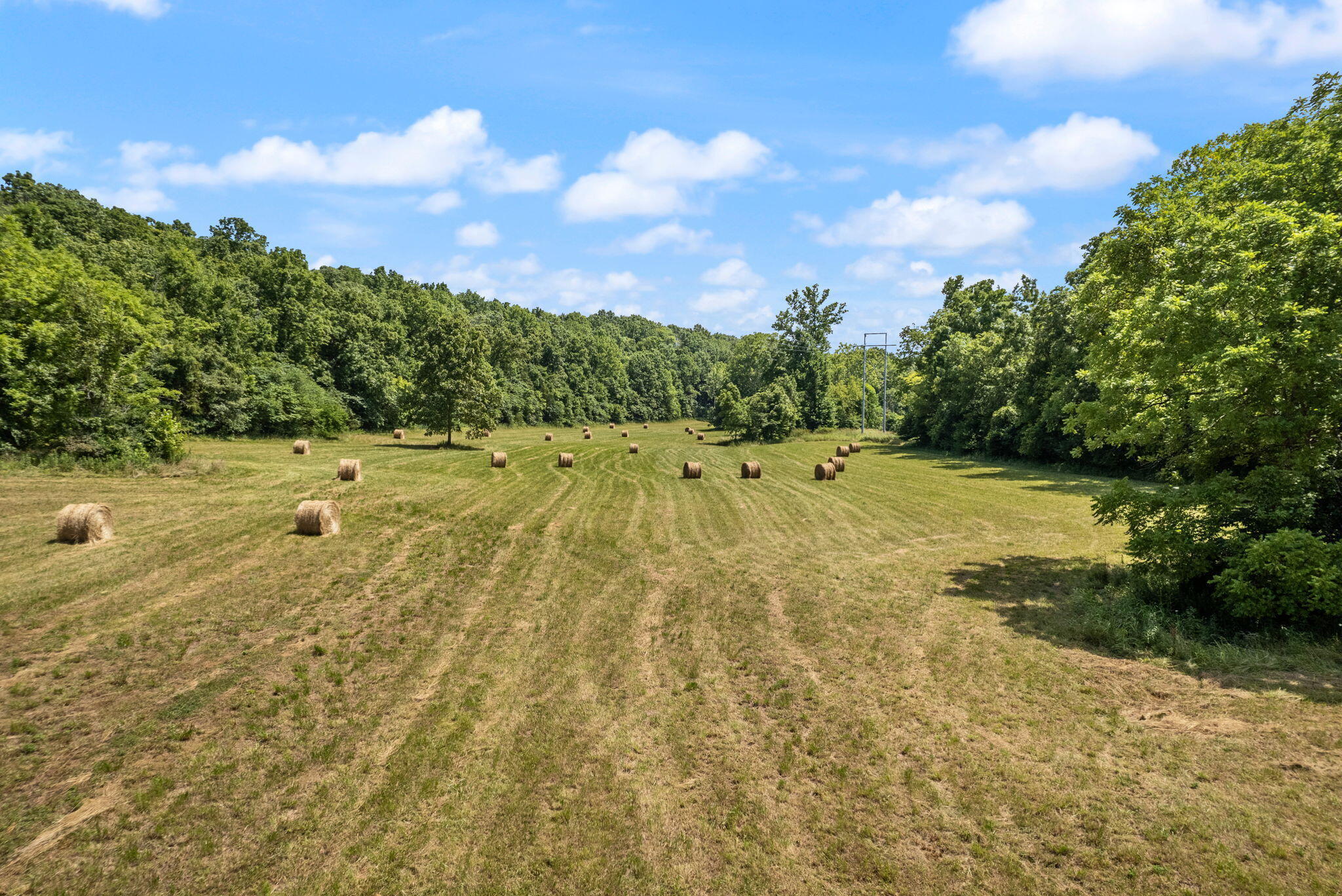 649 Snedegar Road Property Photo 81