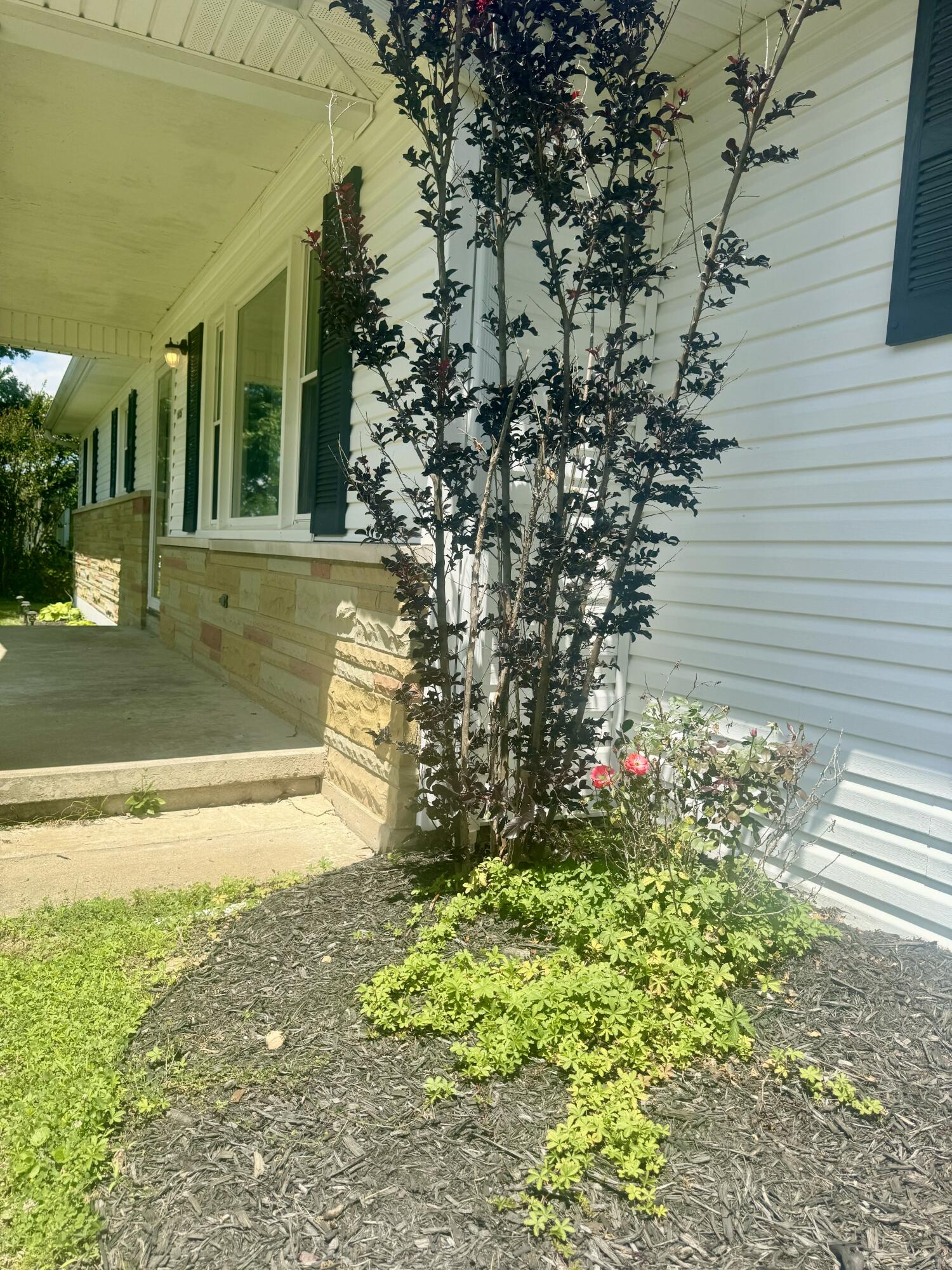 6658 Ky-10 Property Photo 2