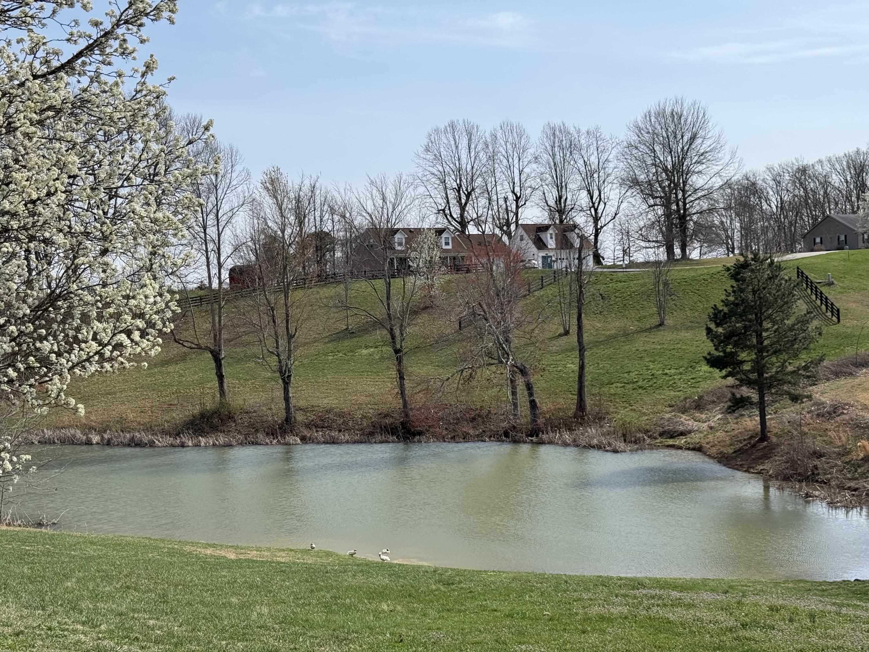 166 Ridgeline Drive Property Photo 2