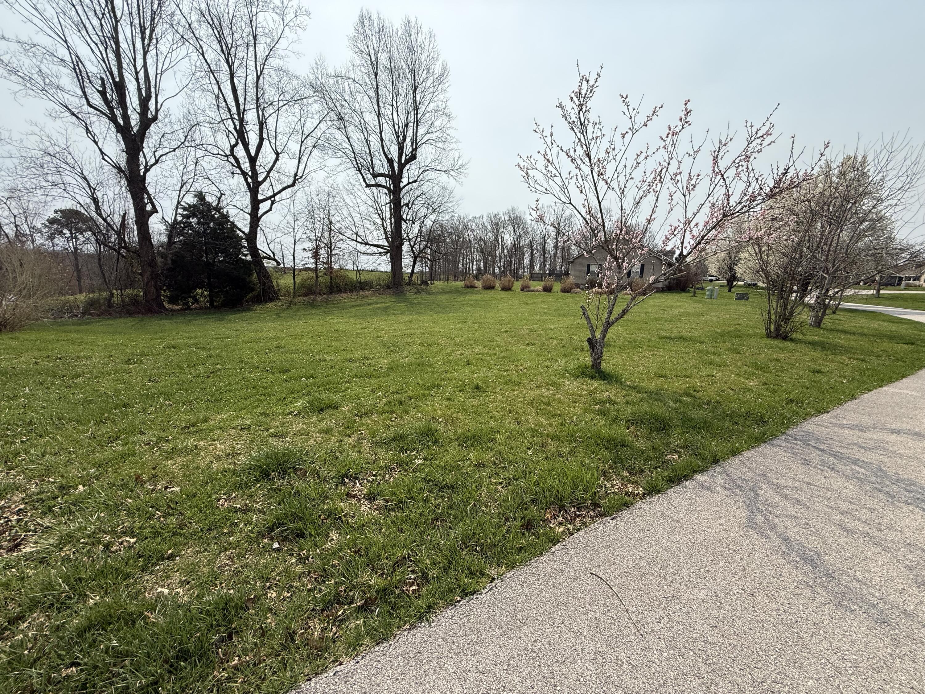 166 Ridgeline Drive Property Photo 44