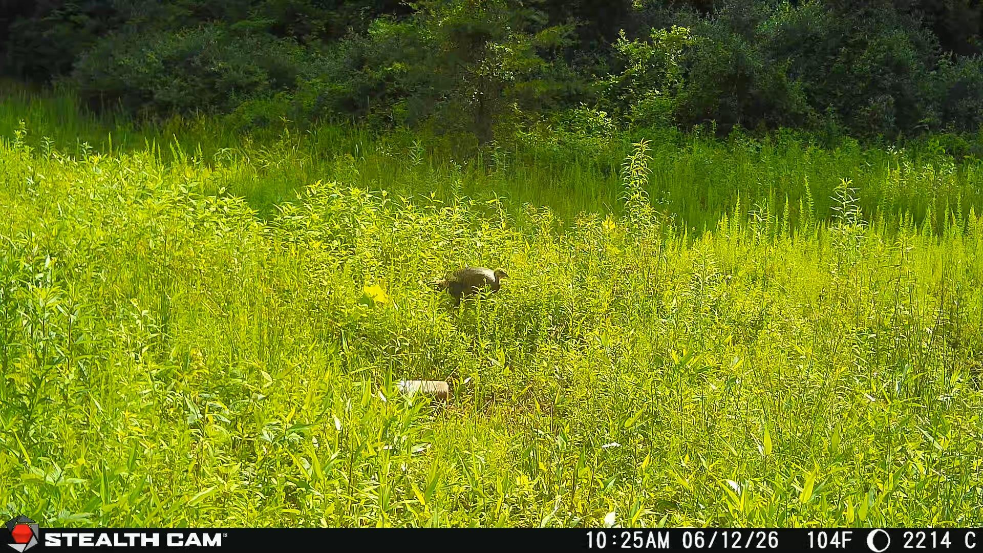 2214a State Highway 2033 Property Photo 35
