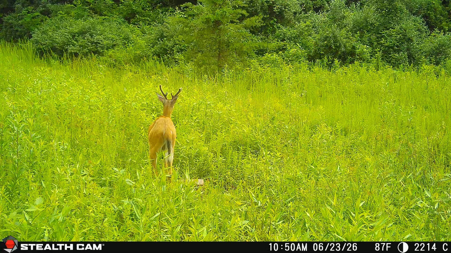 2214a State Highway 2033 Property Photo 45
