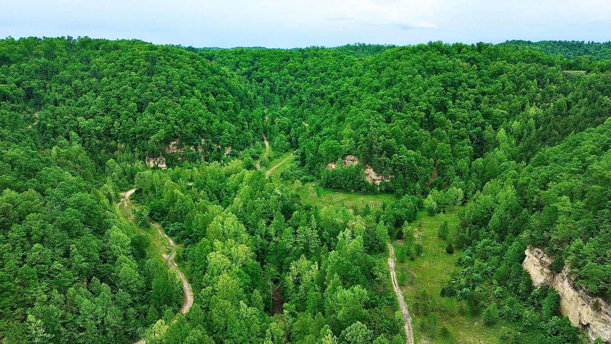 2214a State Highway 2033 Property Photo 52