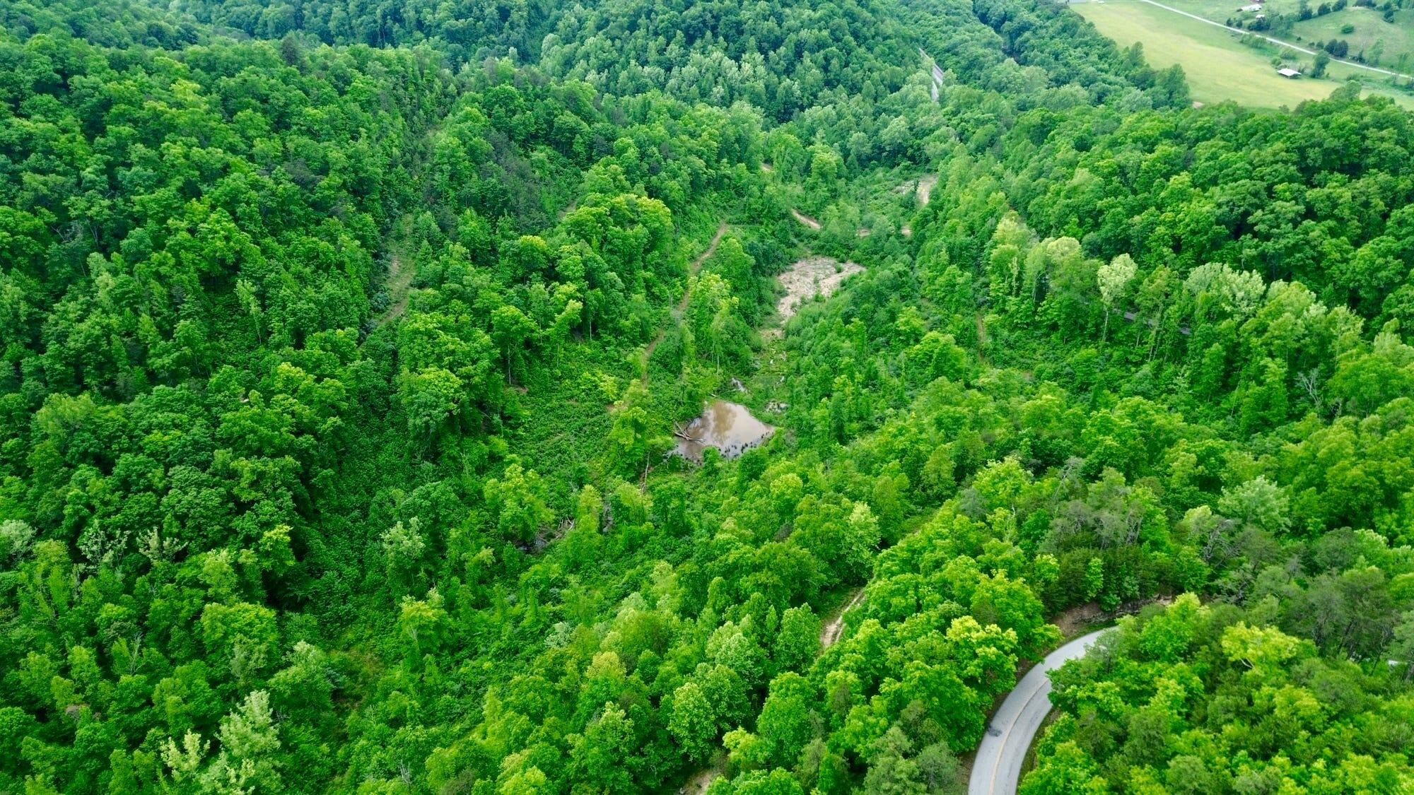 2214a State Highway 2033 Property Photo 66