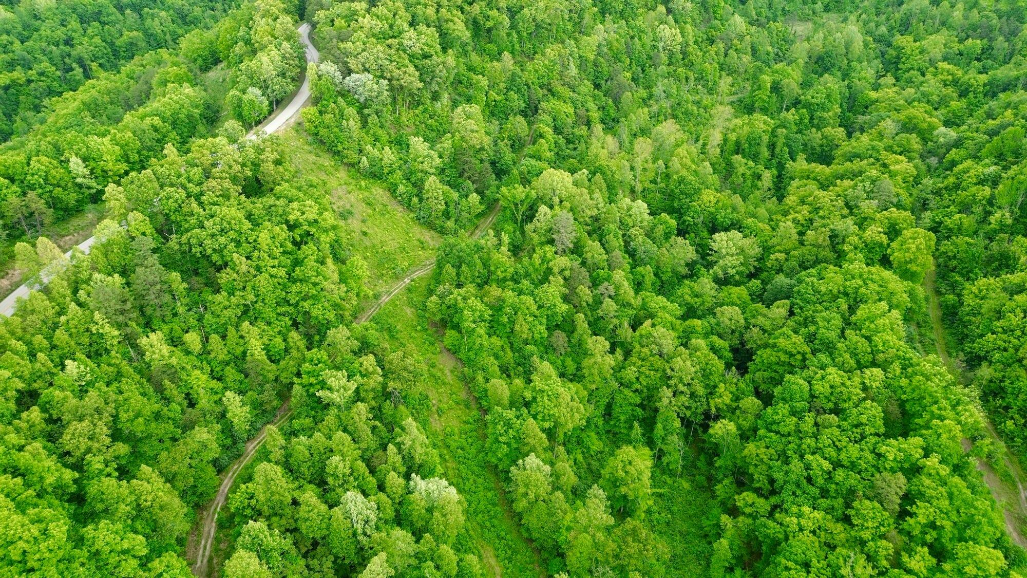 2214a State Highway 2033 Property Photo 68