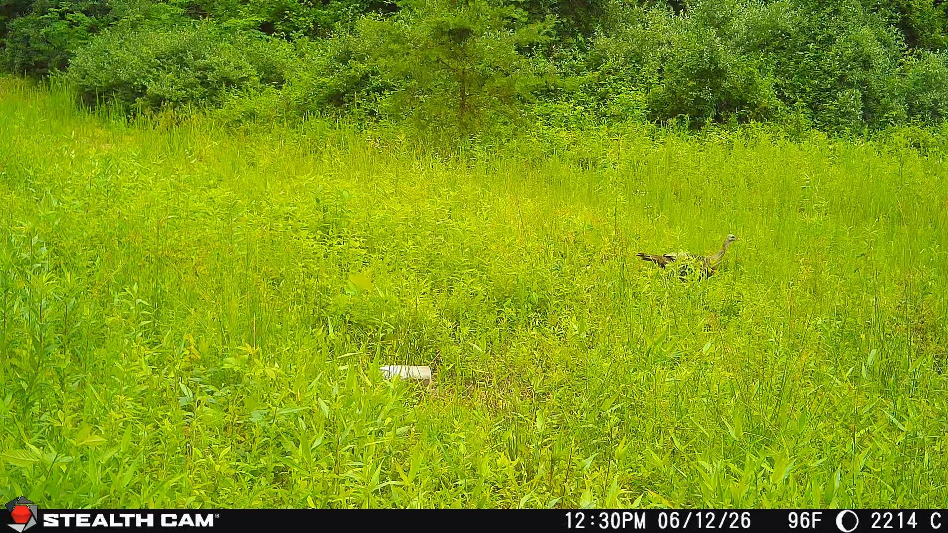 2214a State Highway 2033 Property Photo 69
