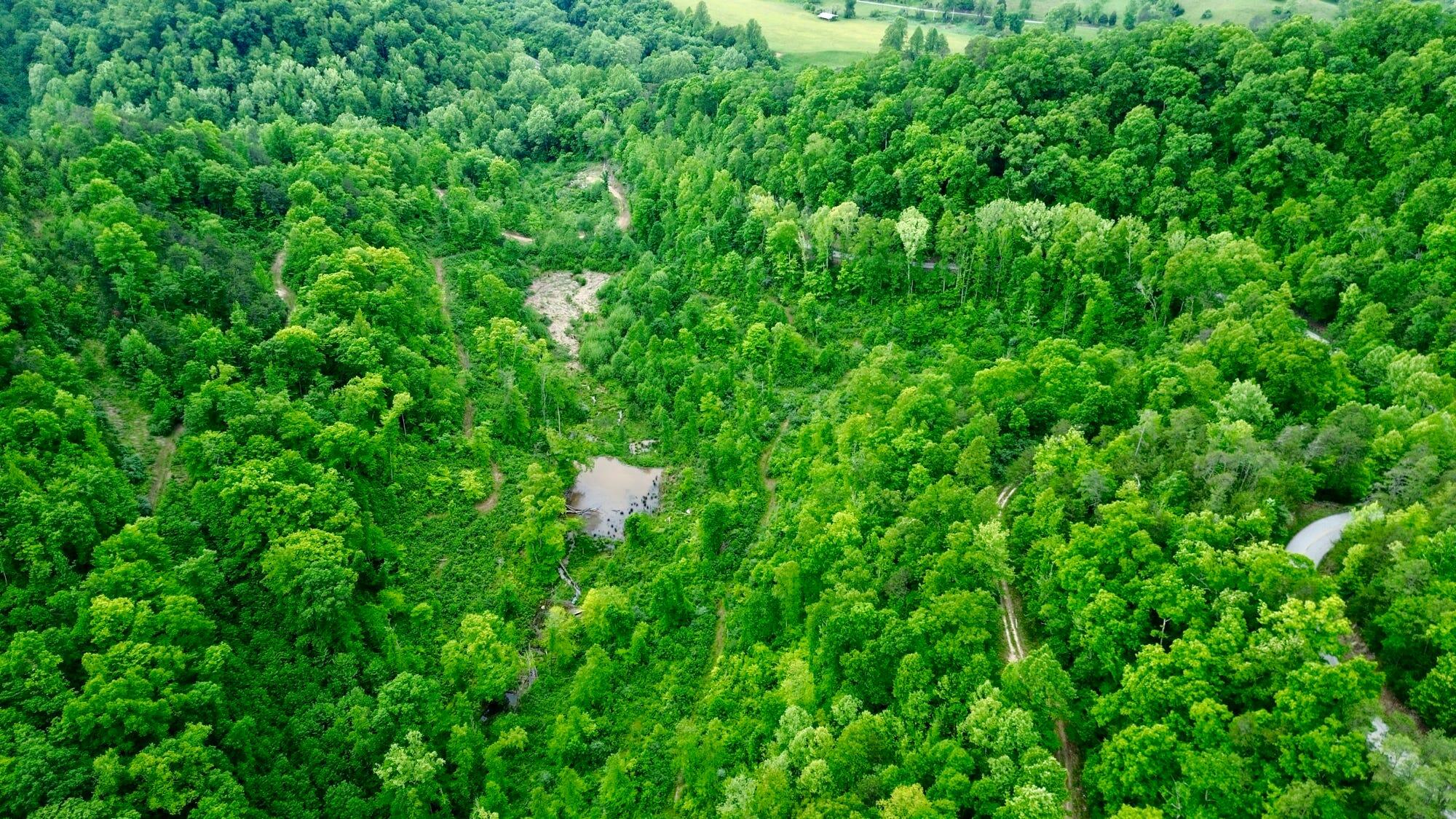 2214a State Highway 2033 Property Photo 80
