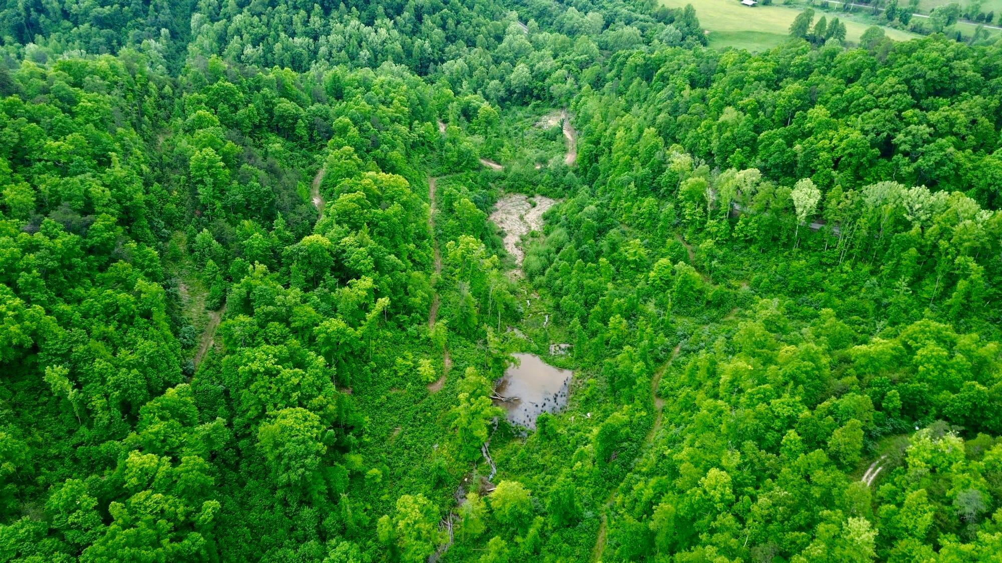 2214a State Highway 2033 Property Photo 84