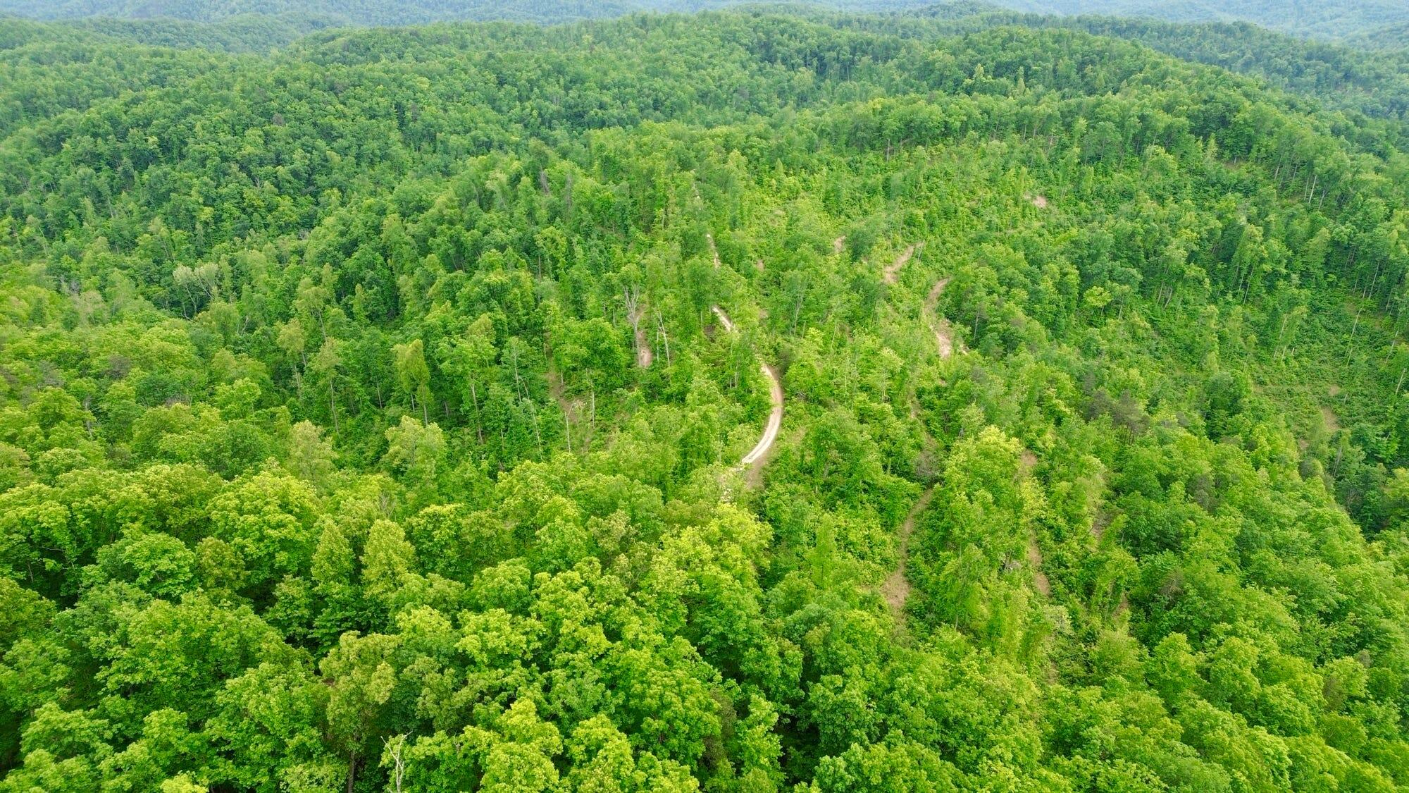 2214a State Highway 2033 Property Photo 85
