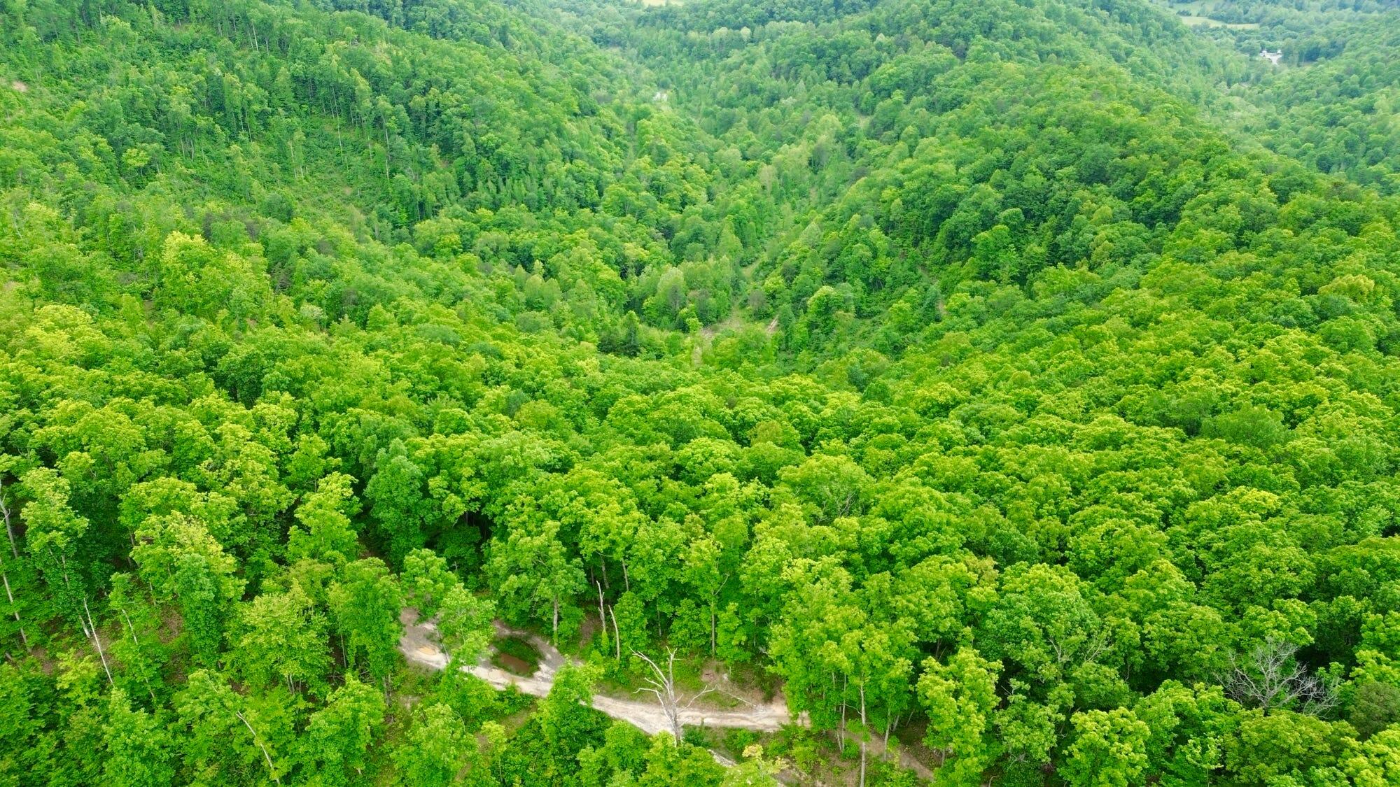 2214a State Highway 2033 Property Photo 86