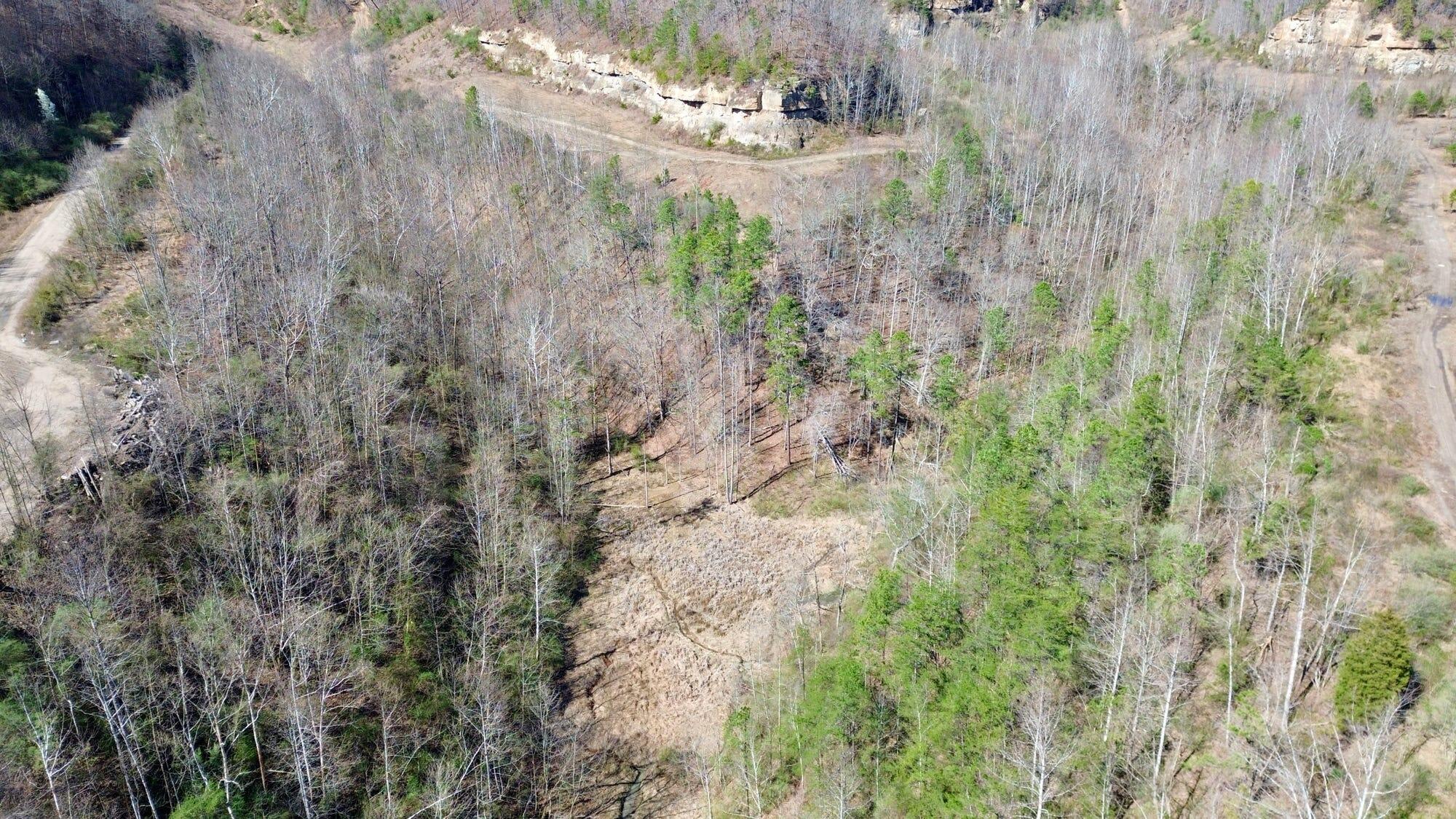 2214a State Highway 2033 Property Photo 98