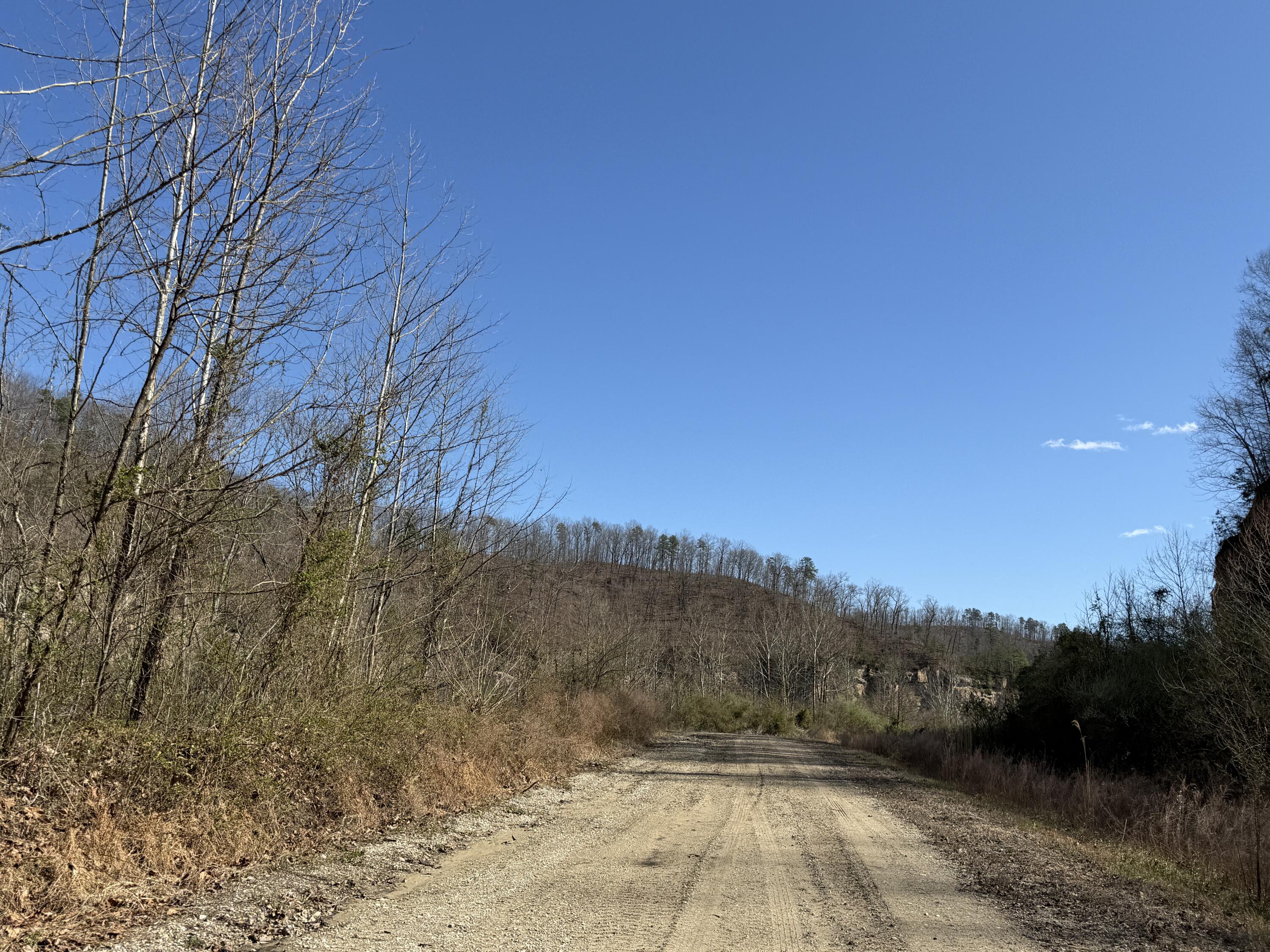 2214a State Highway 2033 Property Photo 104