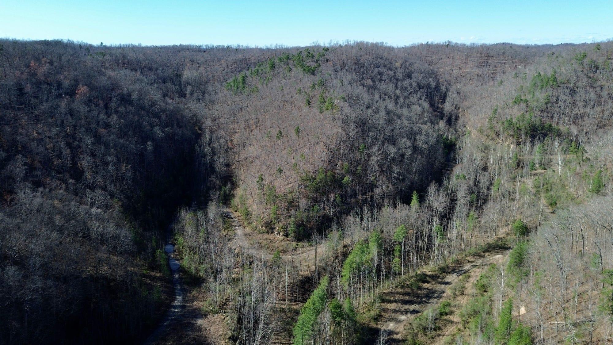 2214a State Highway 2033 Property Photo 114