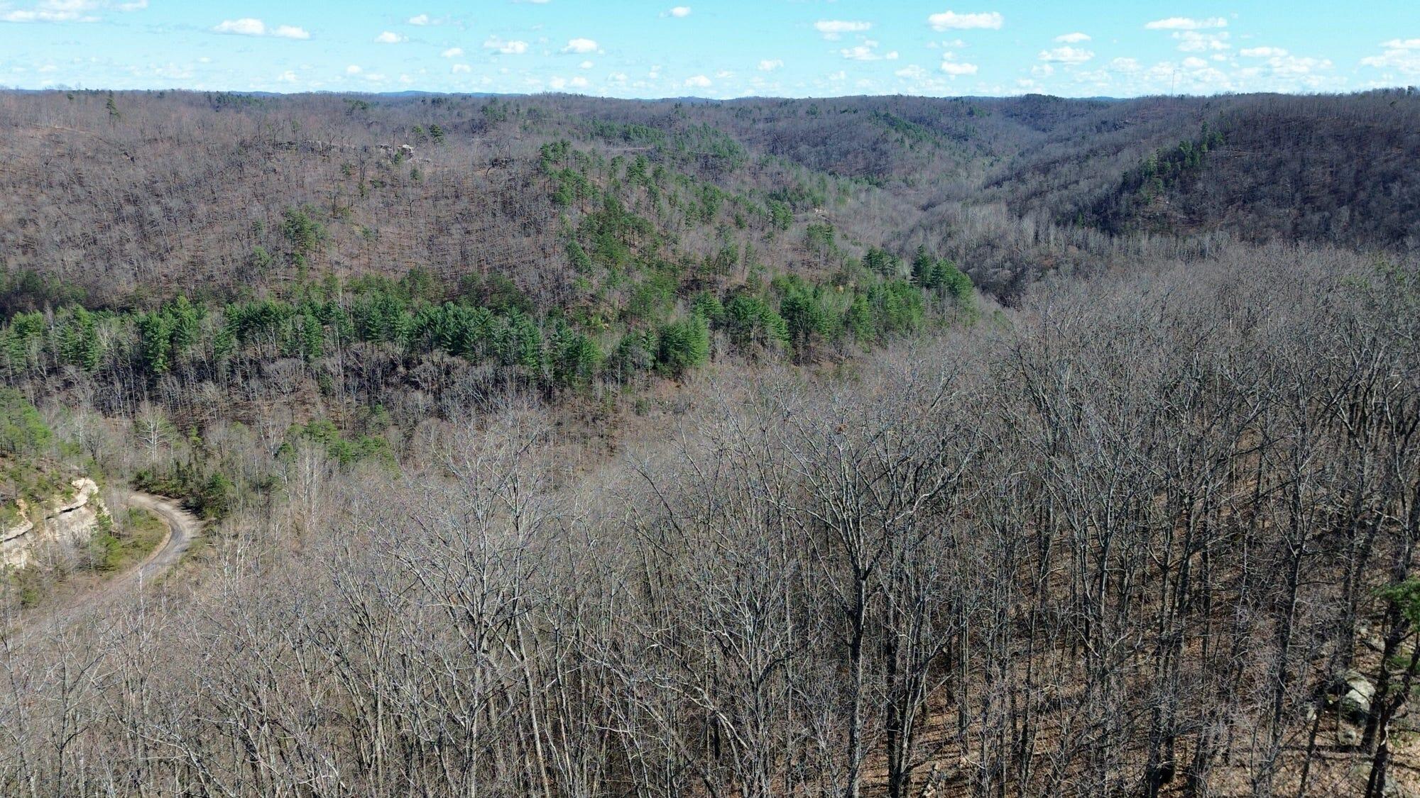 2214a State Highway 2033 Property Photo 117
