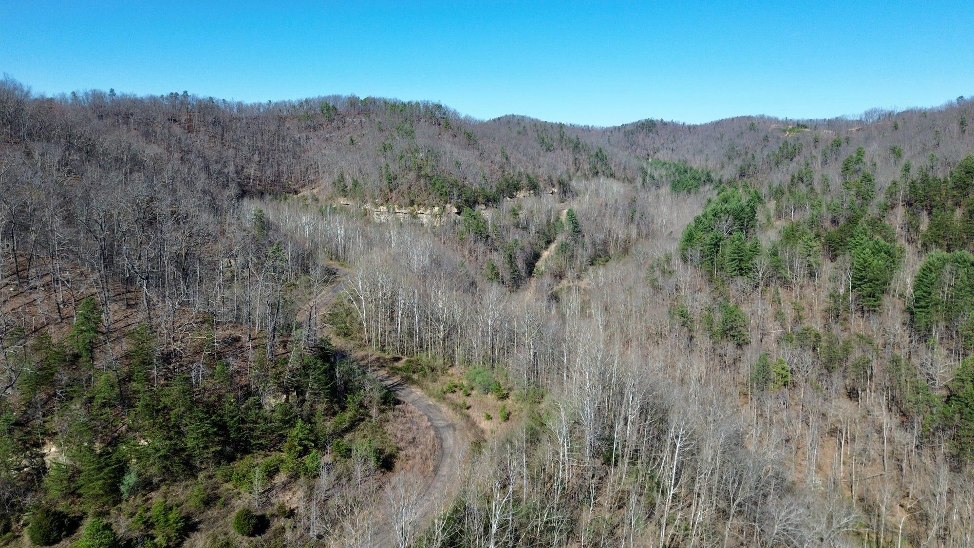 2214a State Highway 2033 Property Photo 118