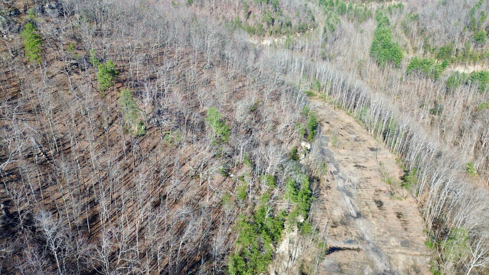 2214a State Highway 2033 Property Photo 124