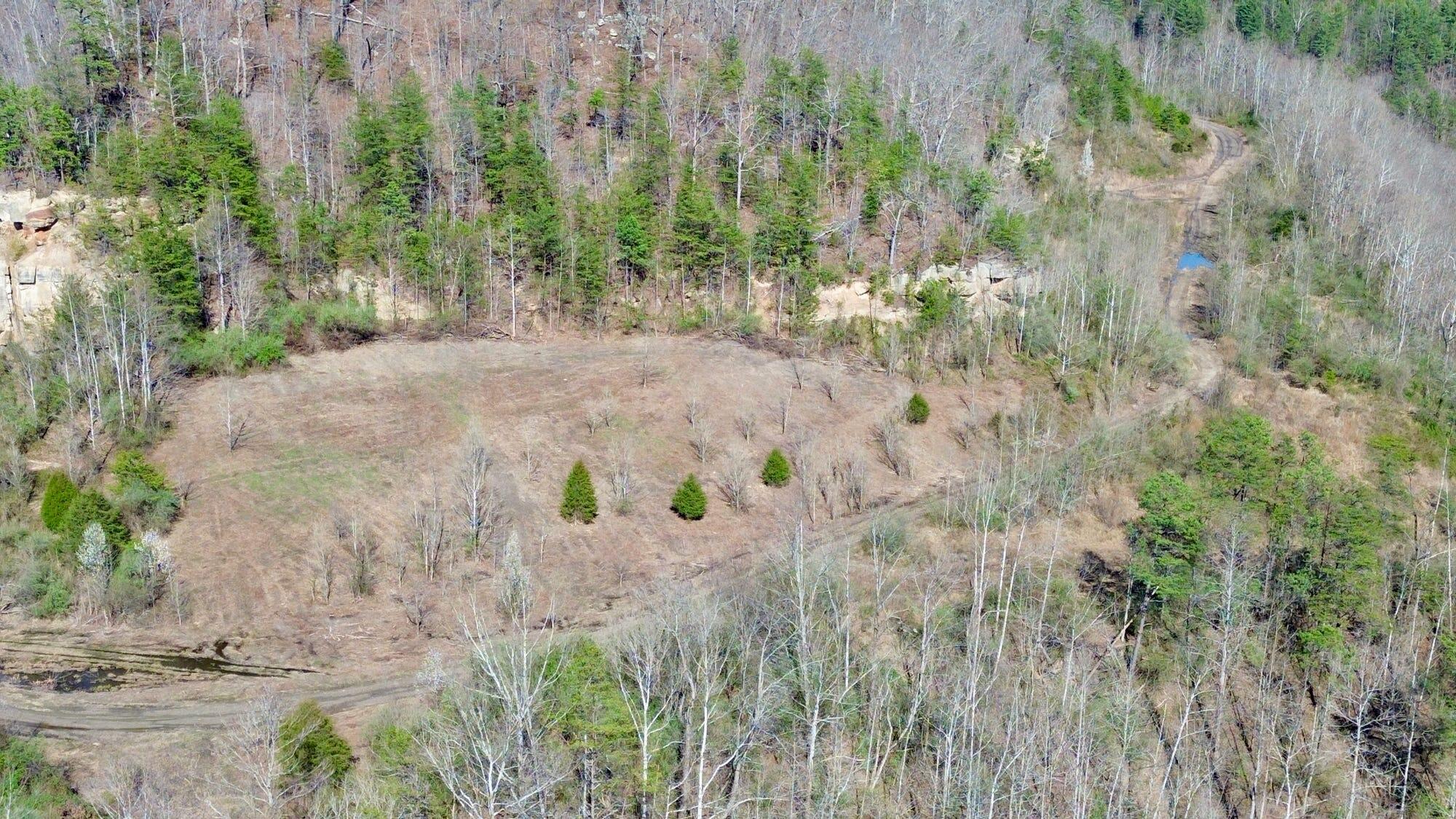 2214a State Highway 2033 Property Photo 127