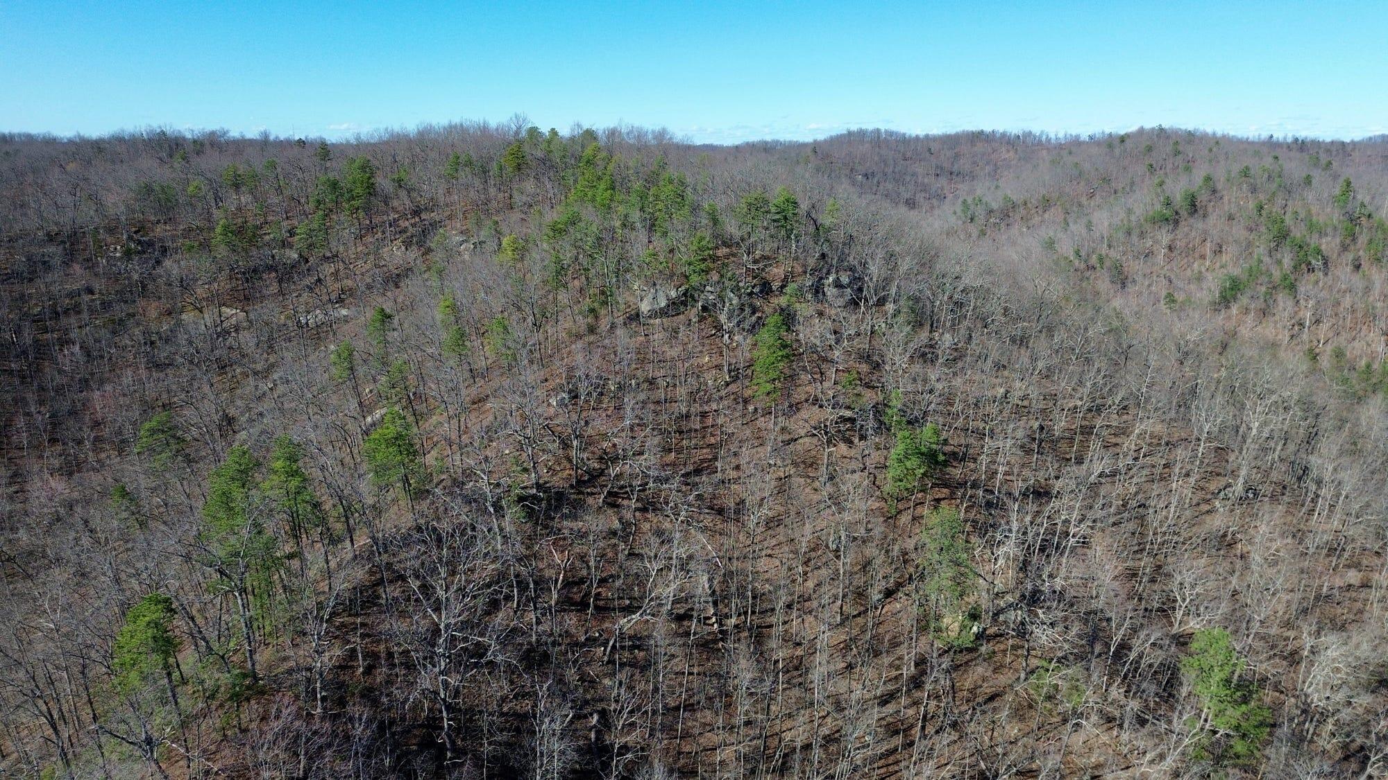 2214a State Highway 2033 Property Photo 132