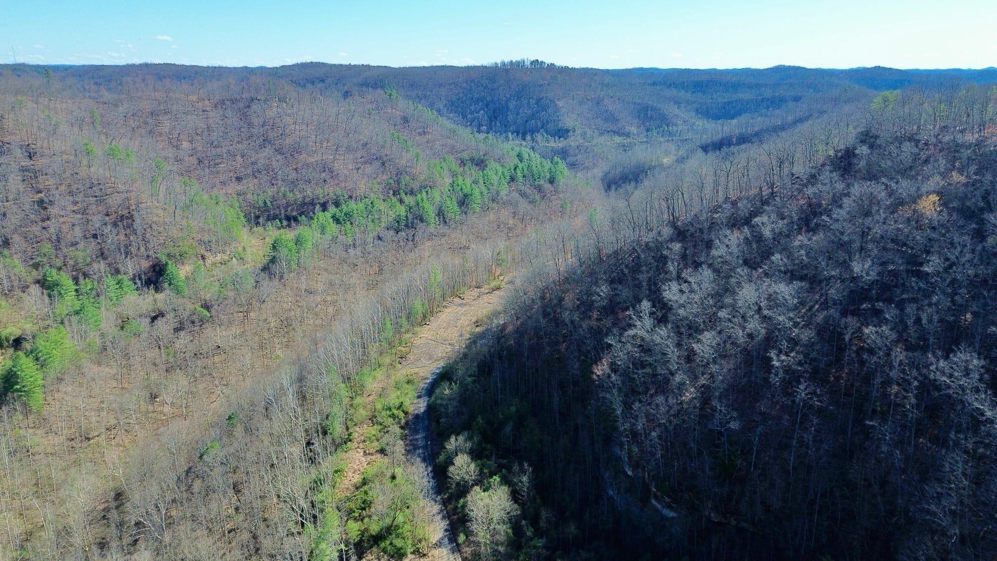 2214a State Highway 2033 Property Photo 139