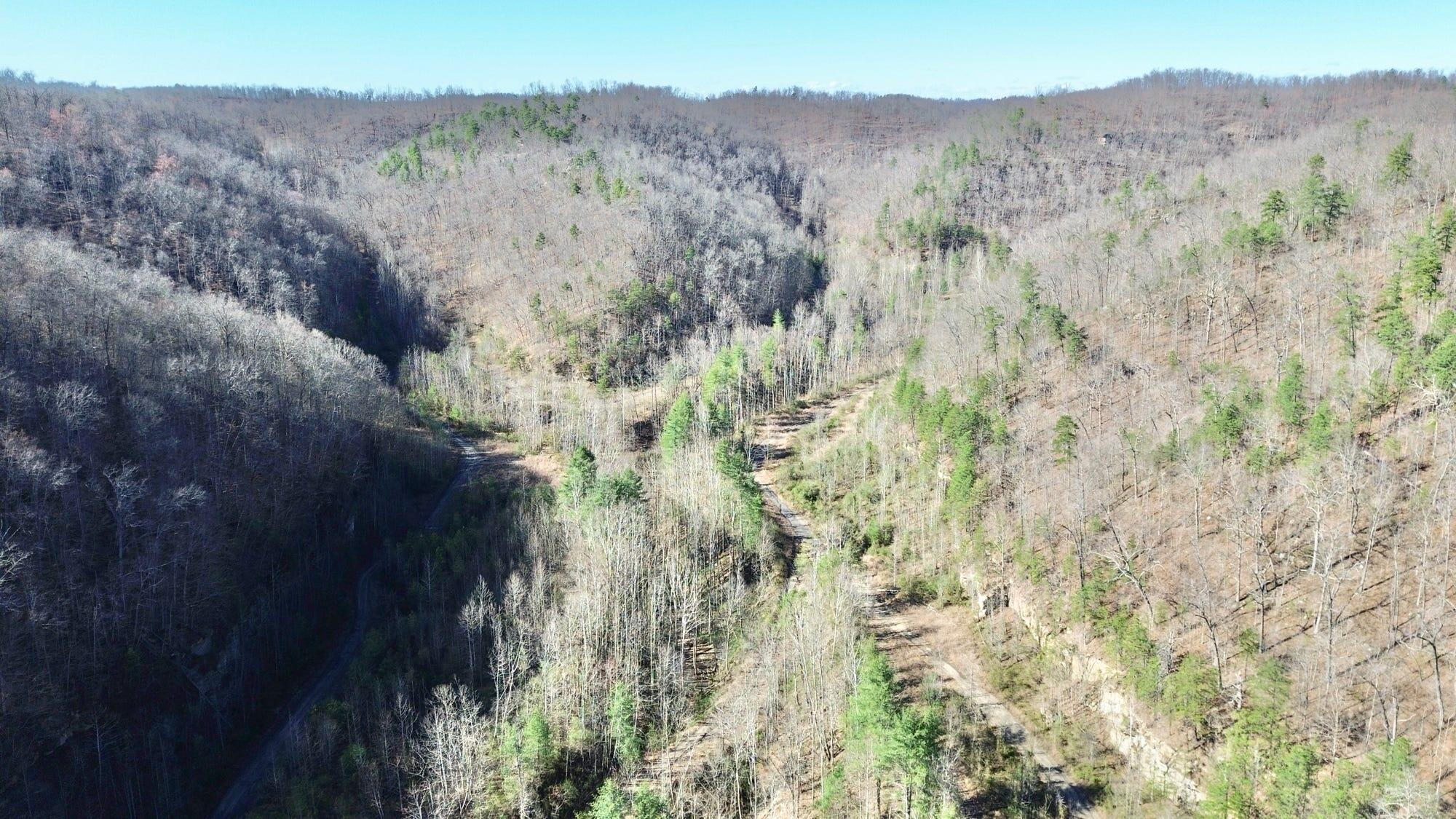 2214a State Highway 2033 Property Photo 140