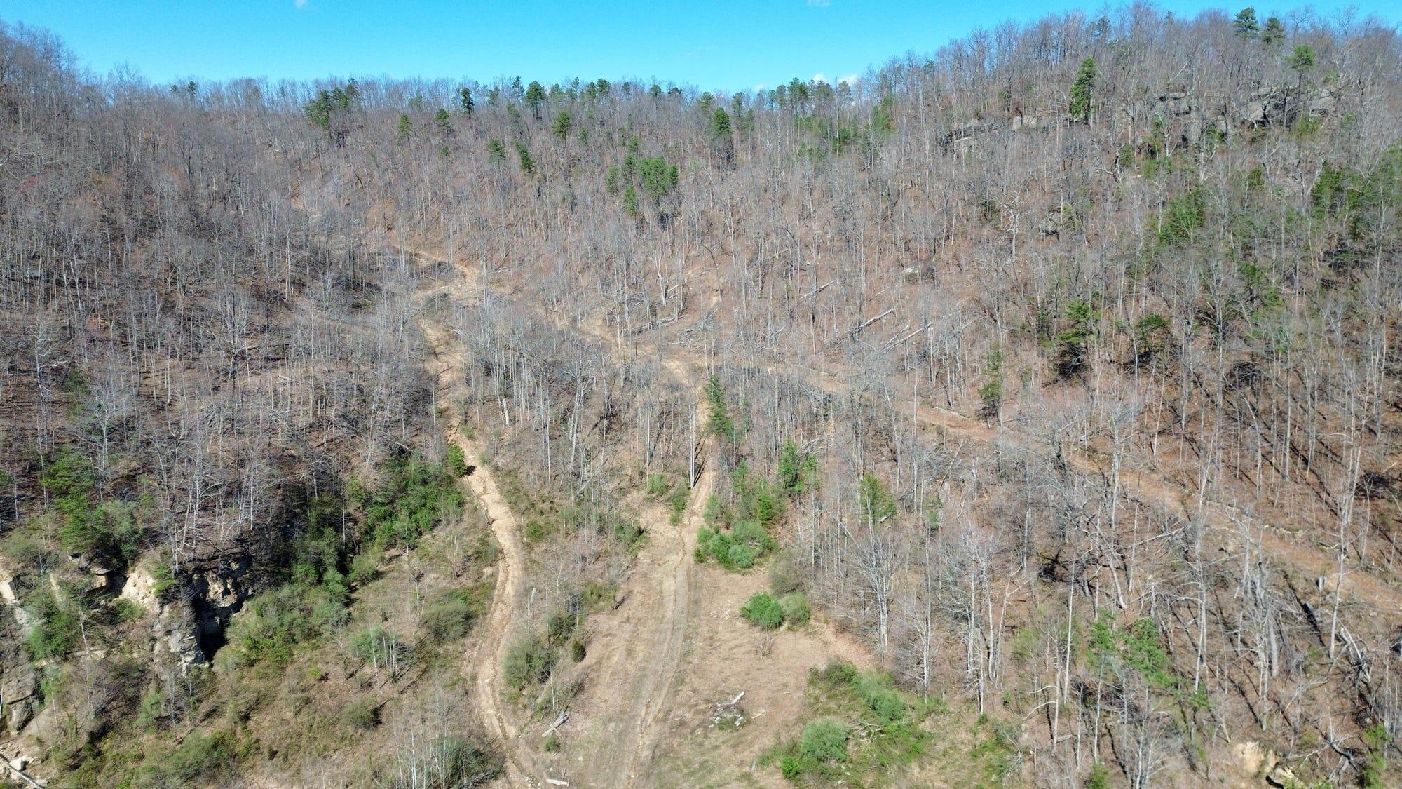2214a State Highway 2033 Property Photo 142