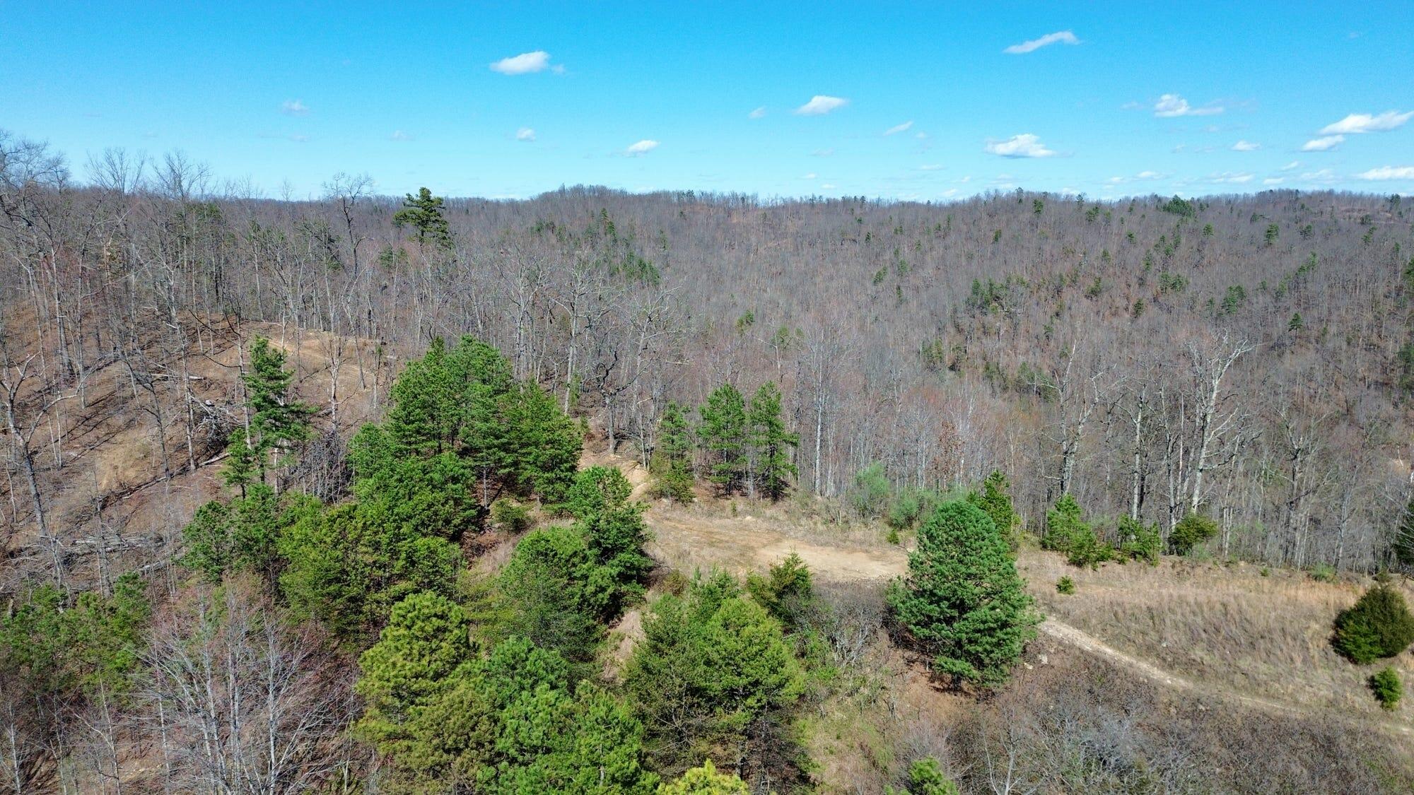 2214a State Highway 2033 Property Photo 145