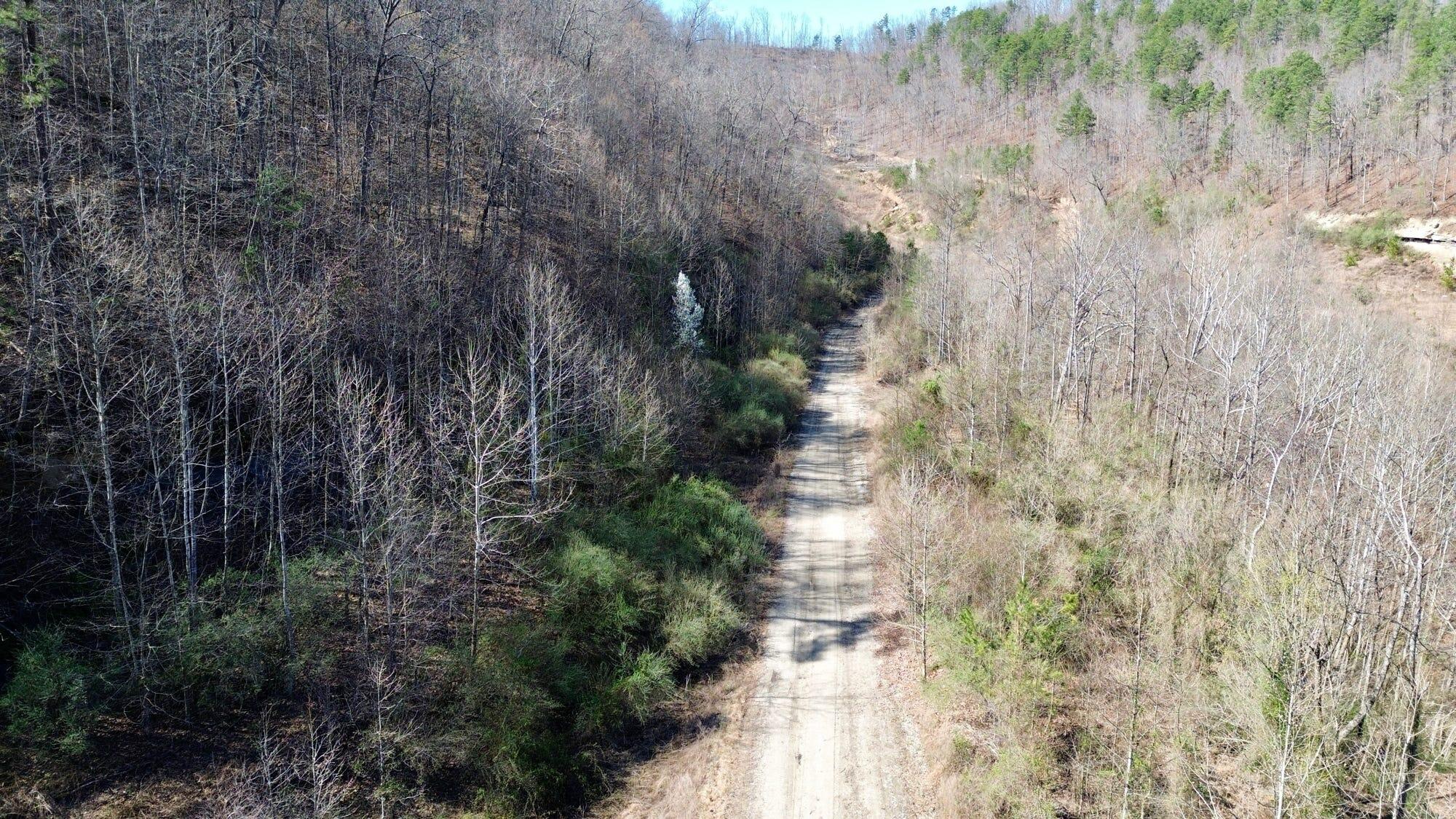 2214a State Highway 2033 Property Photo 146