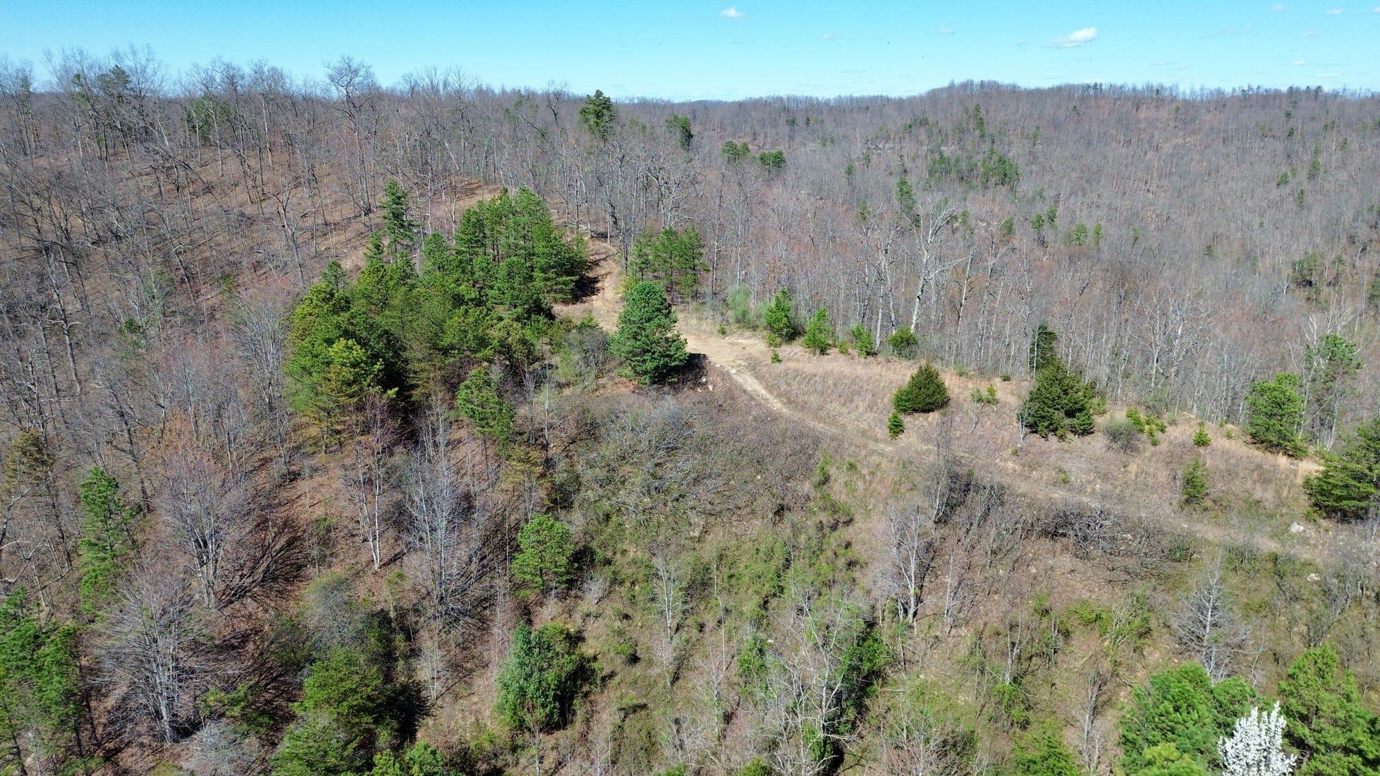 2214a State Highway 2033 Property Photo 147