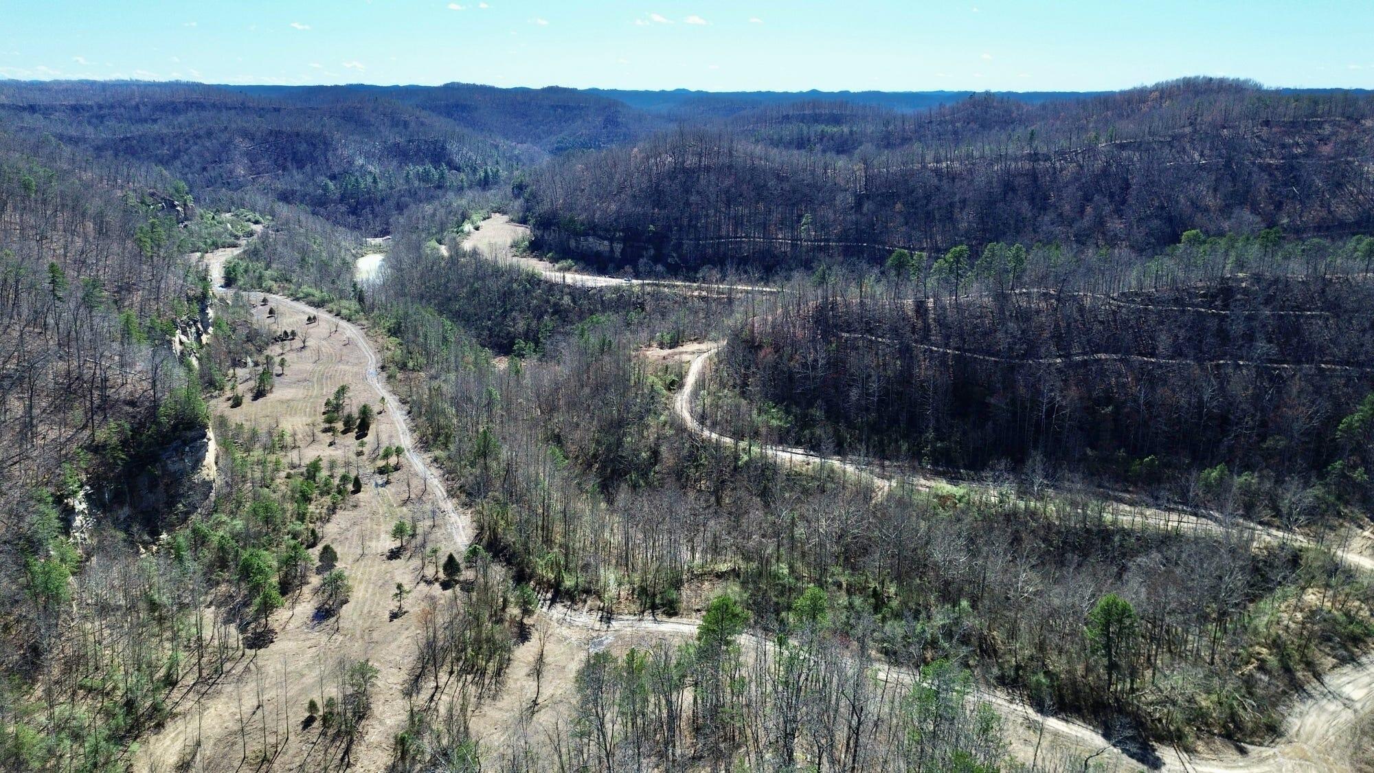 2214a State Highway 2033 Property Photo 148