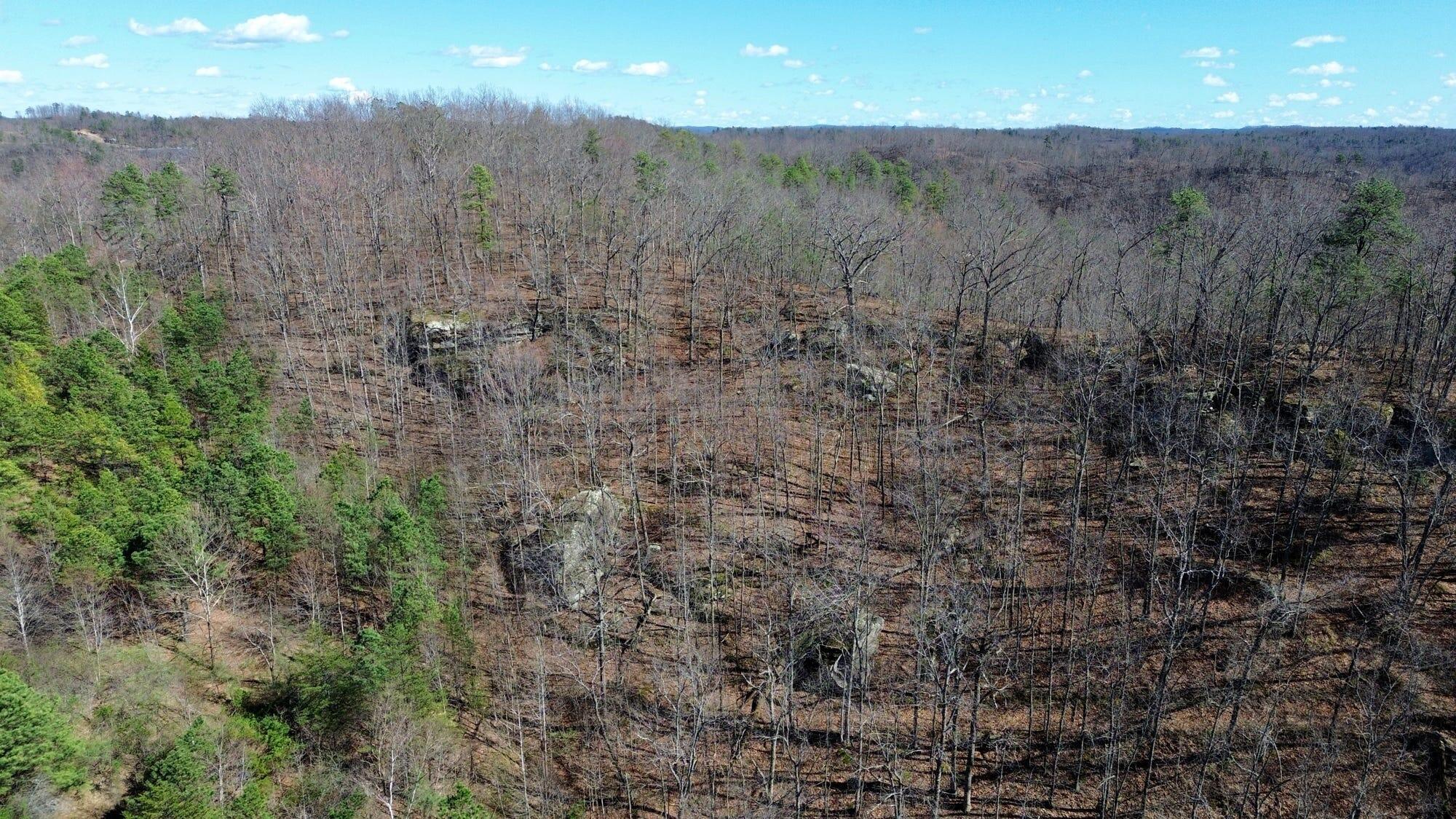 2214a State Highway 2033 Property Photo 153
