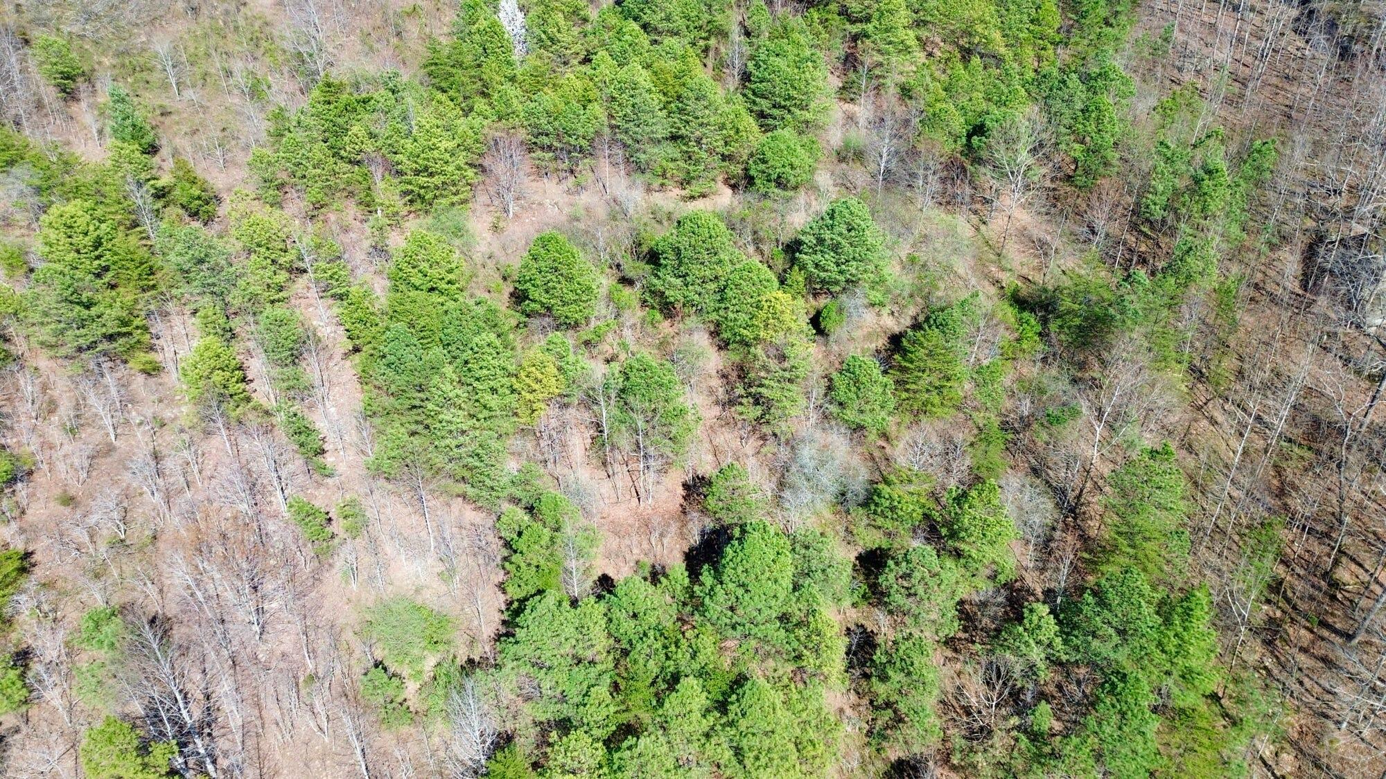 2214a State Highway 2033 Property Photo 161