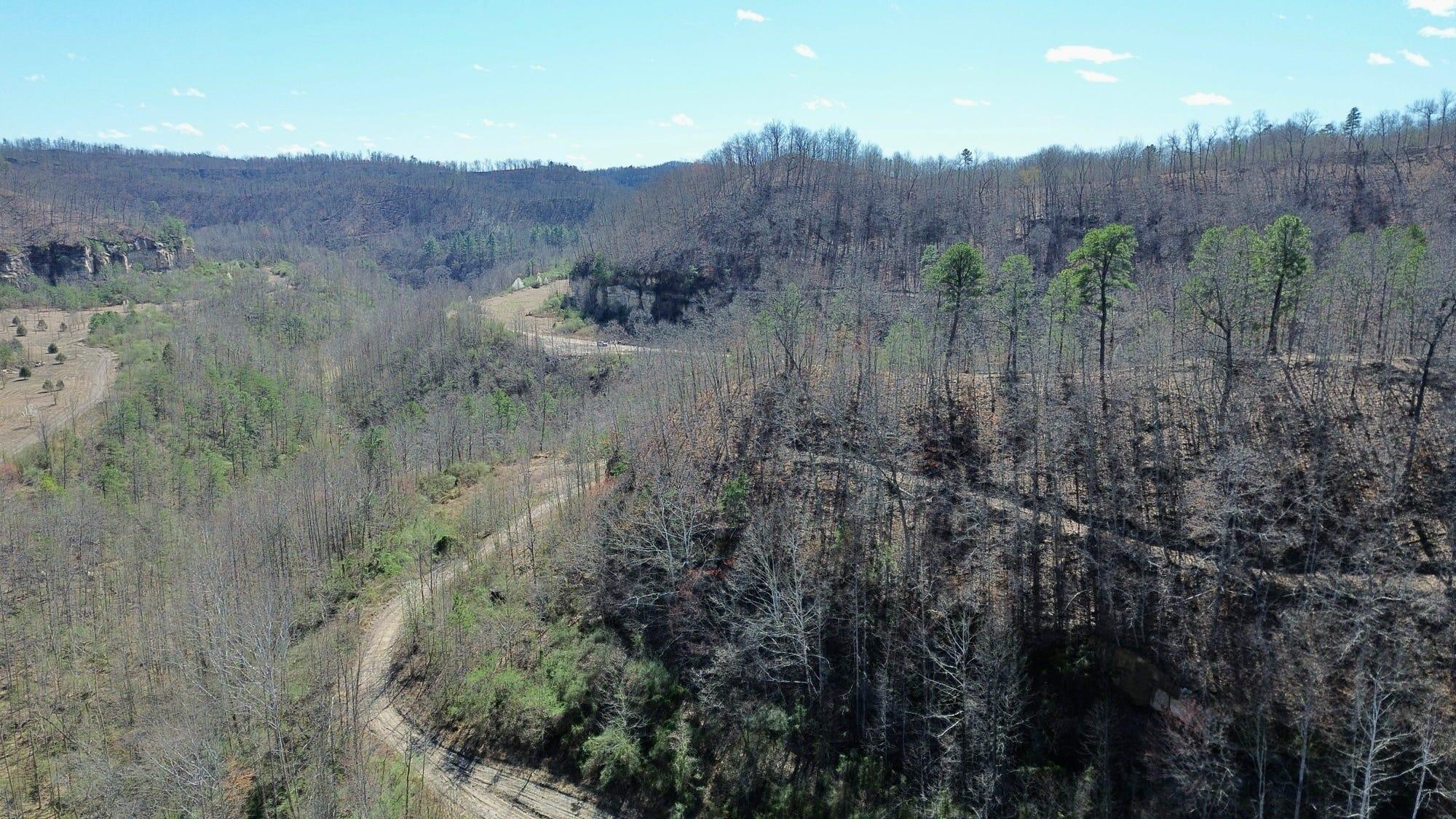 2214a State Highway 2033 Property Photo 163