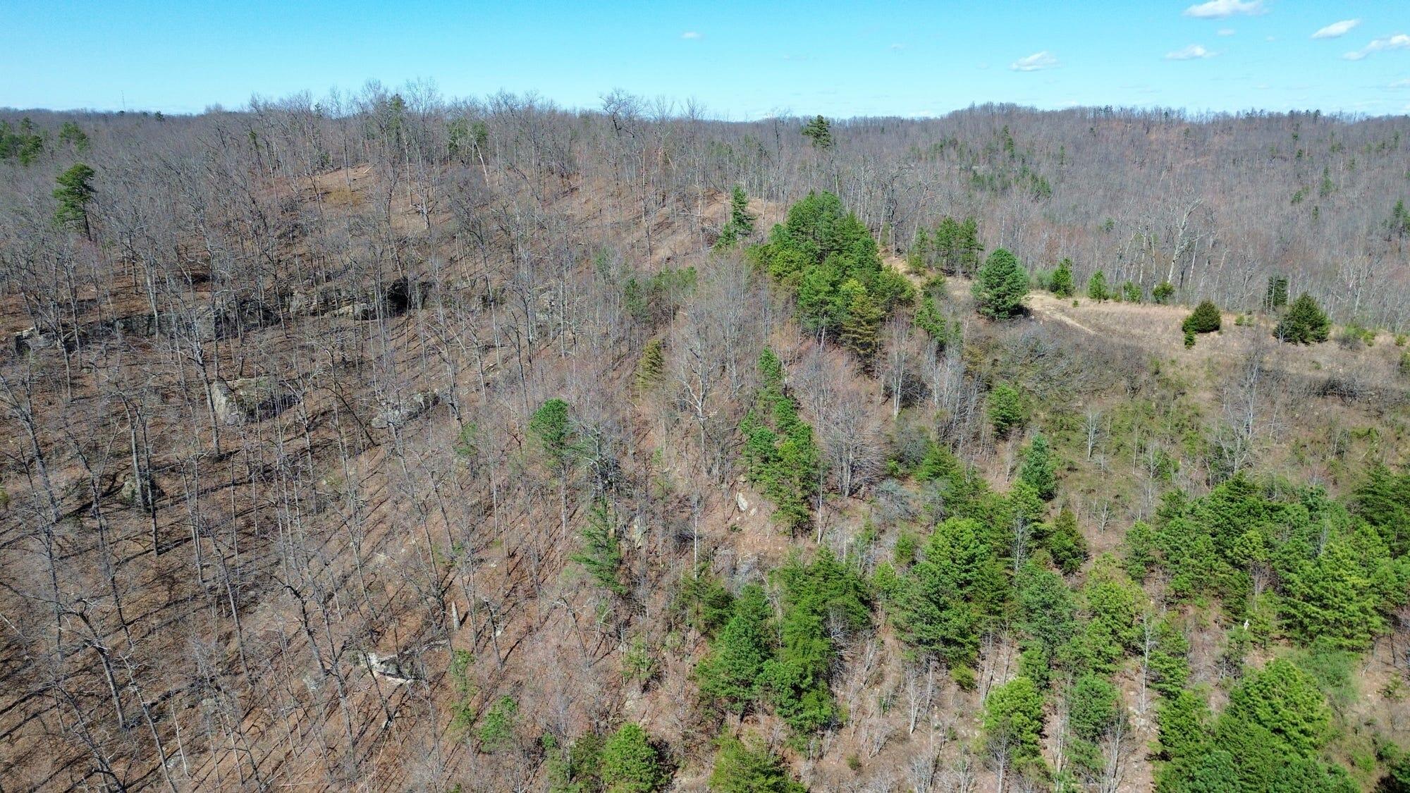 2214a State Highway 2033 Property Photo 165