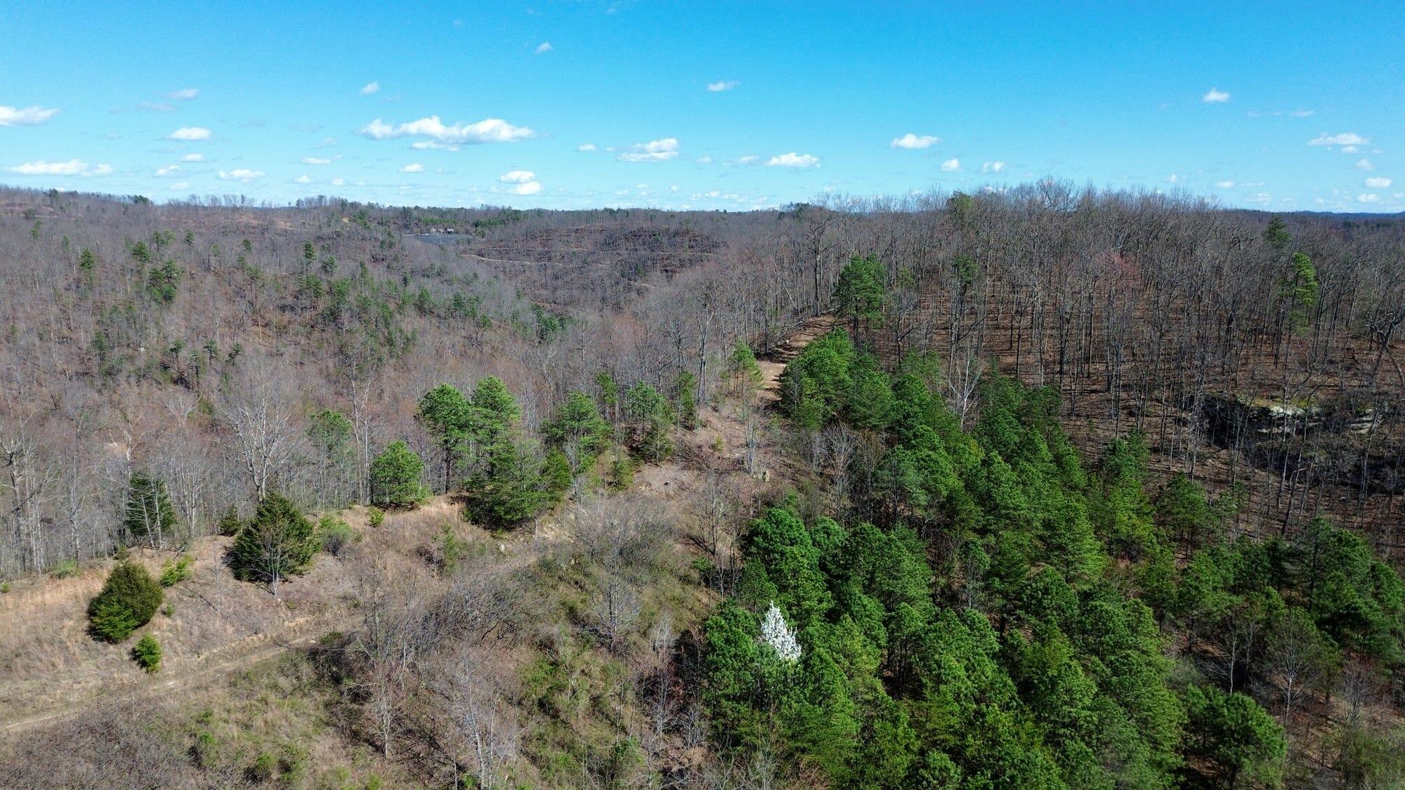 2214a State Highway 2033 Property Photo 166