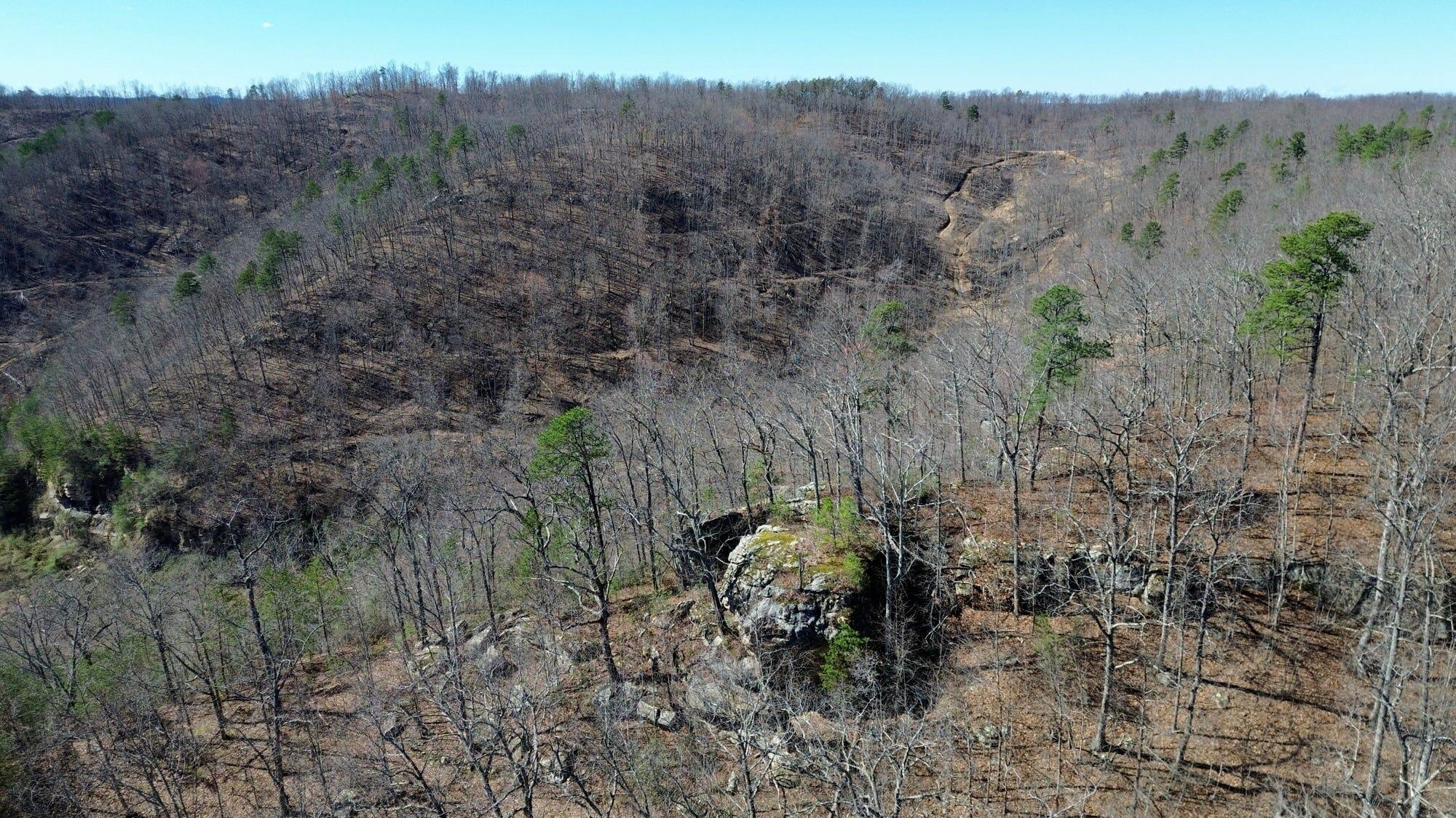 2214a State Highway 2033 Property Photo 167