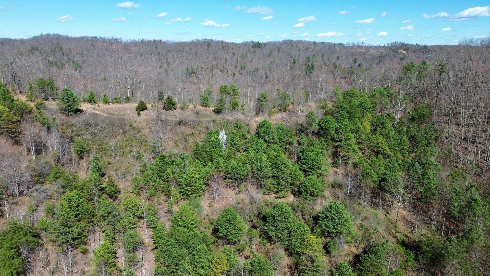 2214a State Highway 2033 Property Photo 168