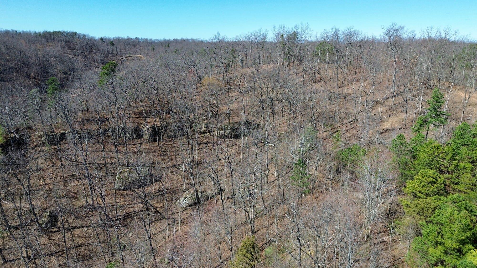 2214a State Highway 2033 Property Photo 169