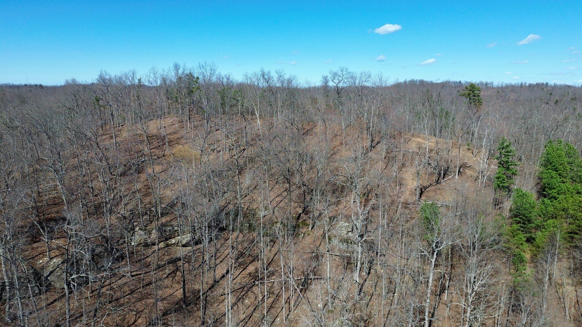 2214a State Highway 2033 Property Photo 170
