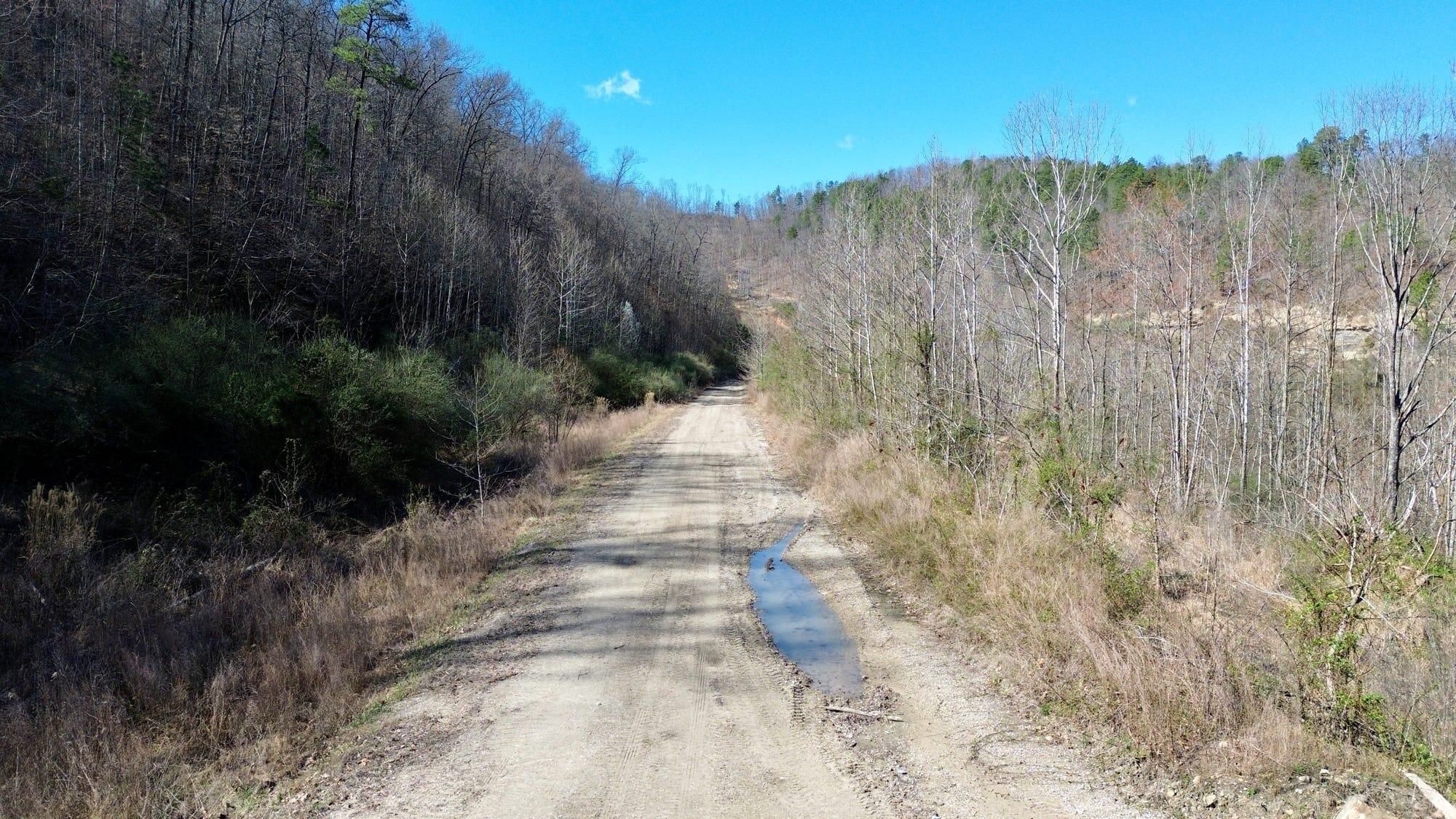 2214a State Highway 2033 Property Photo 171