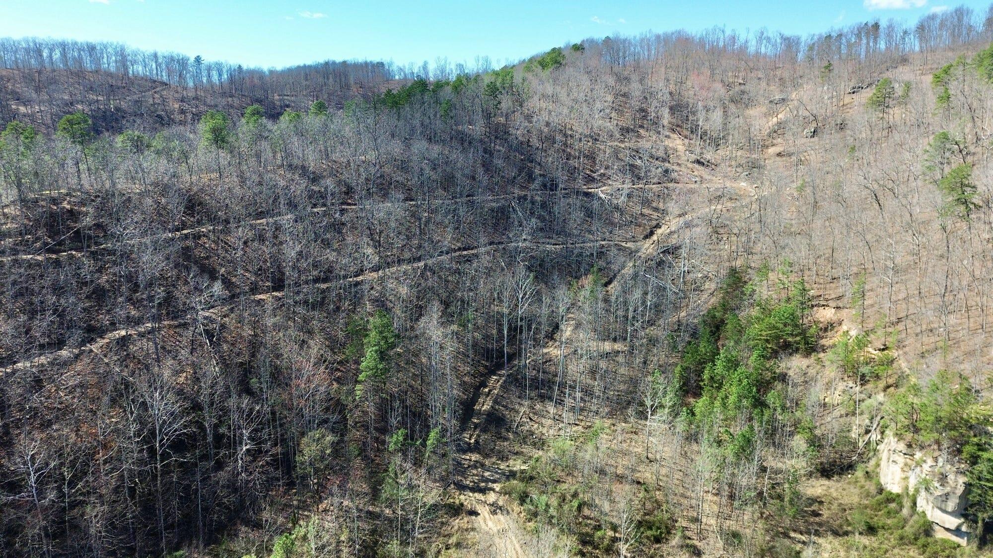 2214a State Highway 2033 Property Photo 173
