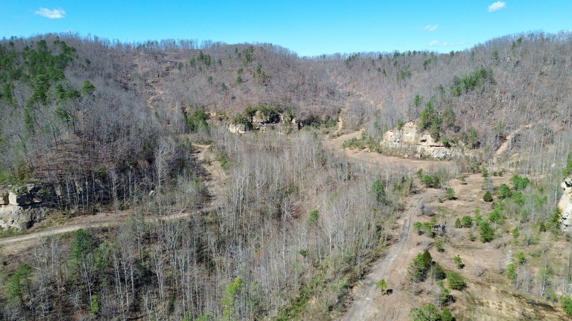 2214a State Highway 2033 Property Photo 179